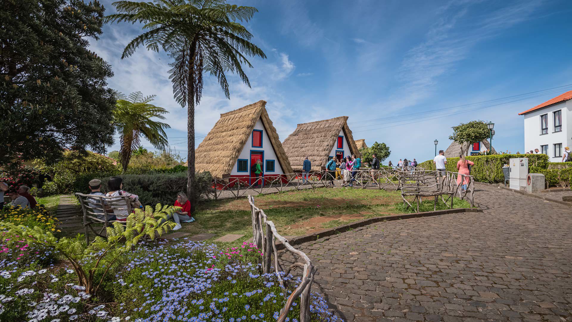 Maisons triangulaires avec palmier, jardin et personnes à Madère.