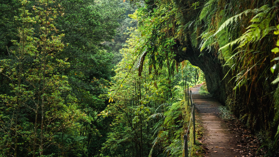 Madeira