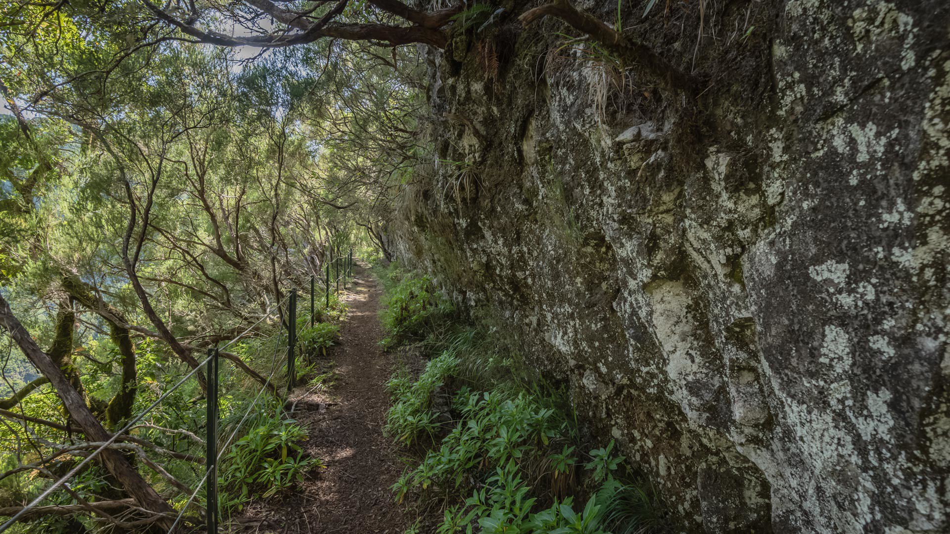 levada velha do rabaçal pr 6.4