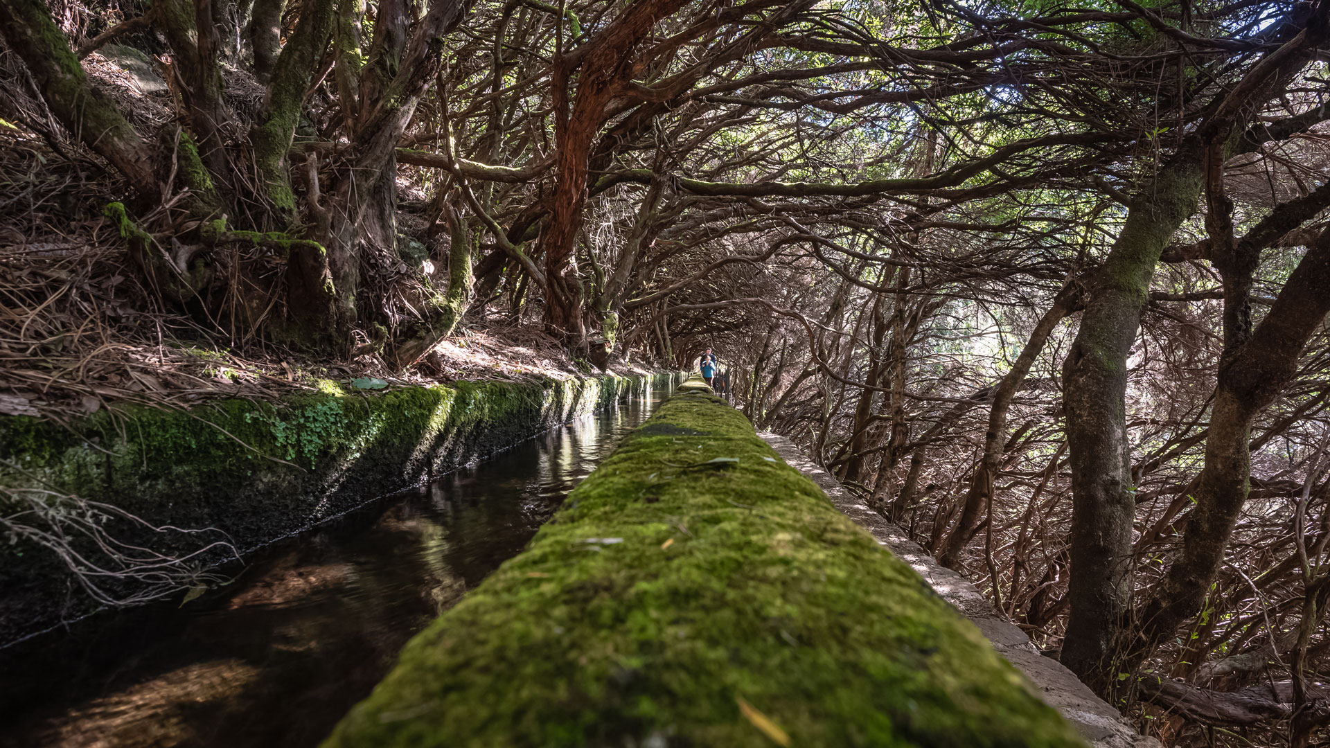 vereda do túnel do cavalo pr 6.6