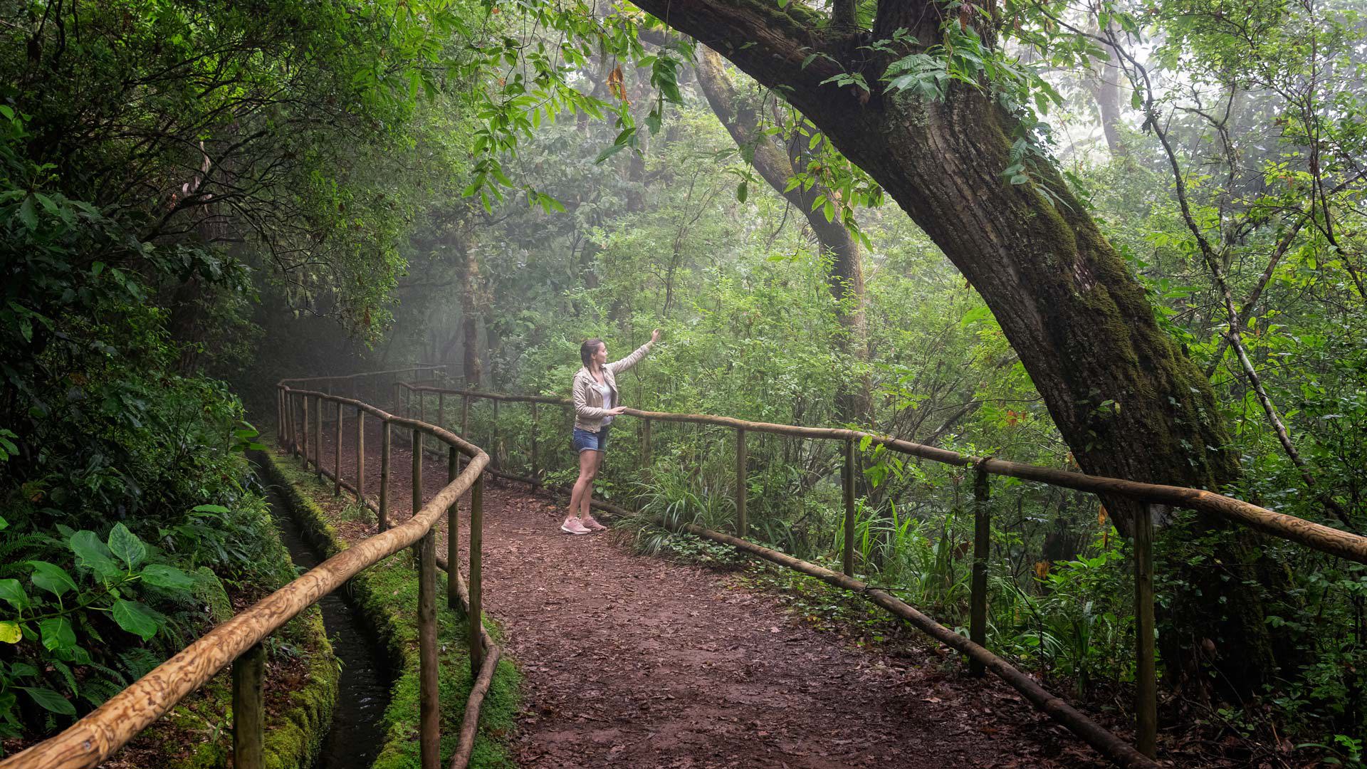 Femme marche sur sentier de terre avec clôtures en bois et arbres autour.