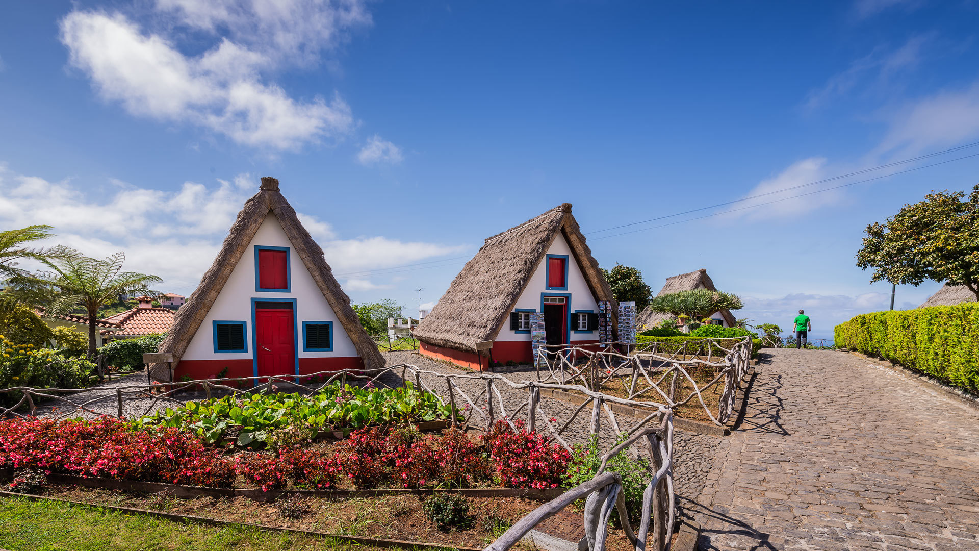 Triangular houses surrounded by green garden in Madeira.