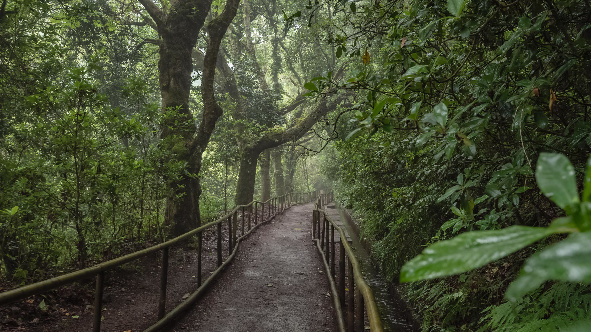 levada do caldeirão verde um caminho para todos pr 9.1