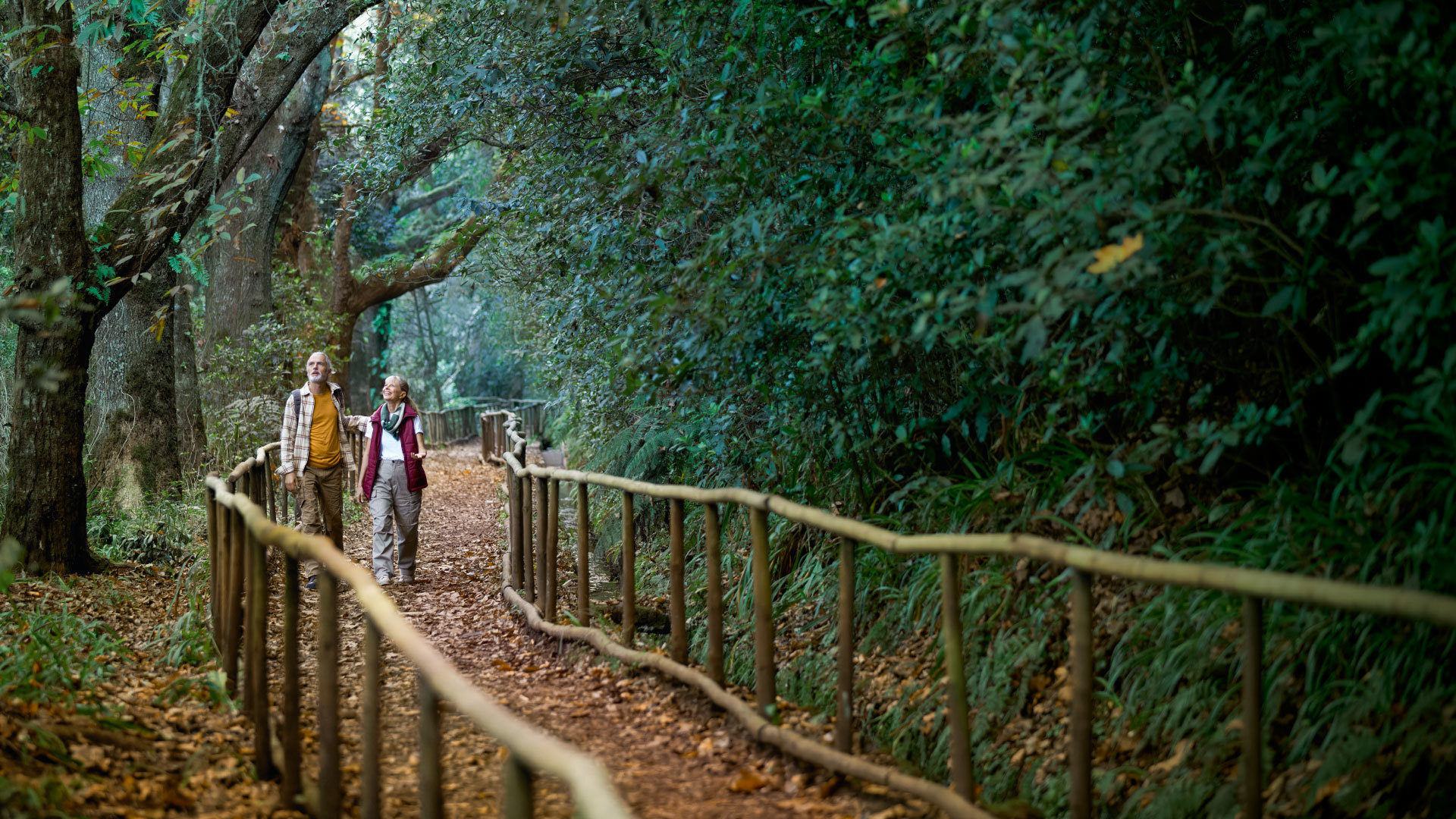 Vive Madeira en primera persona