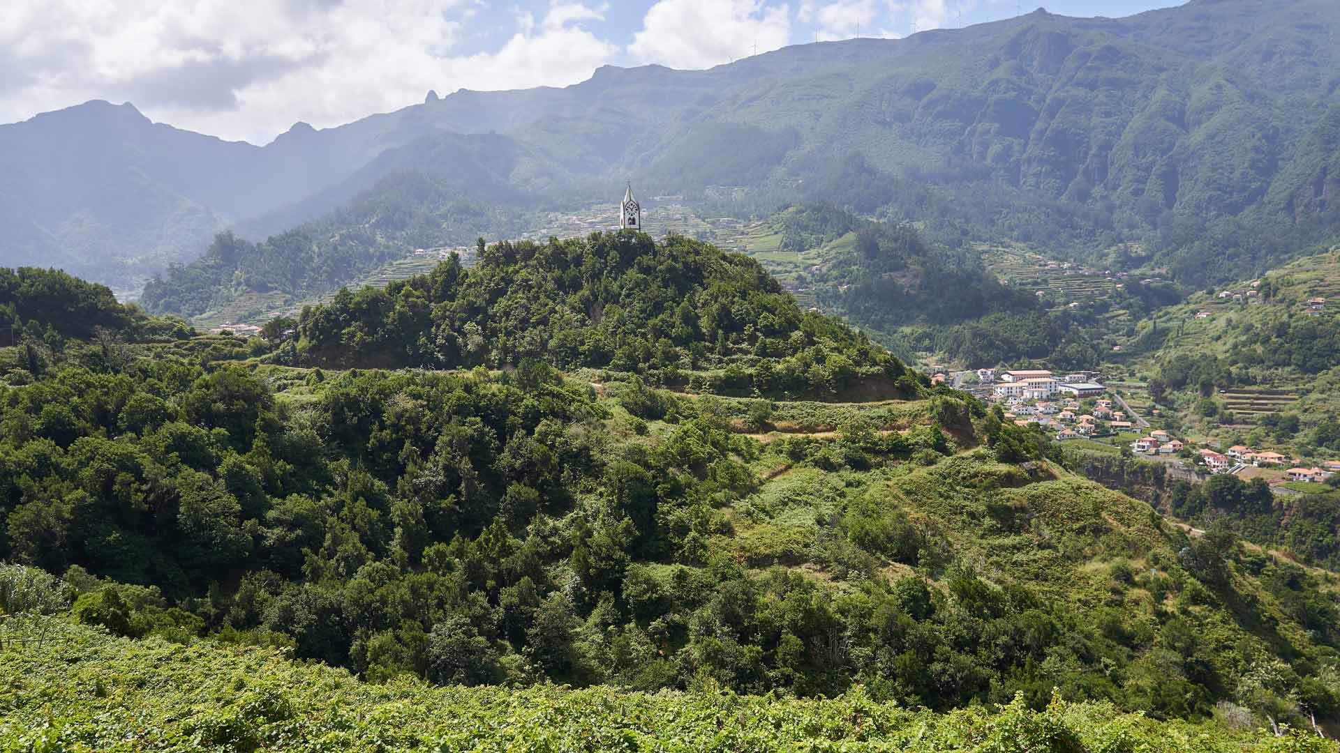 Madeira wine 20