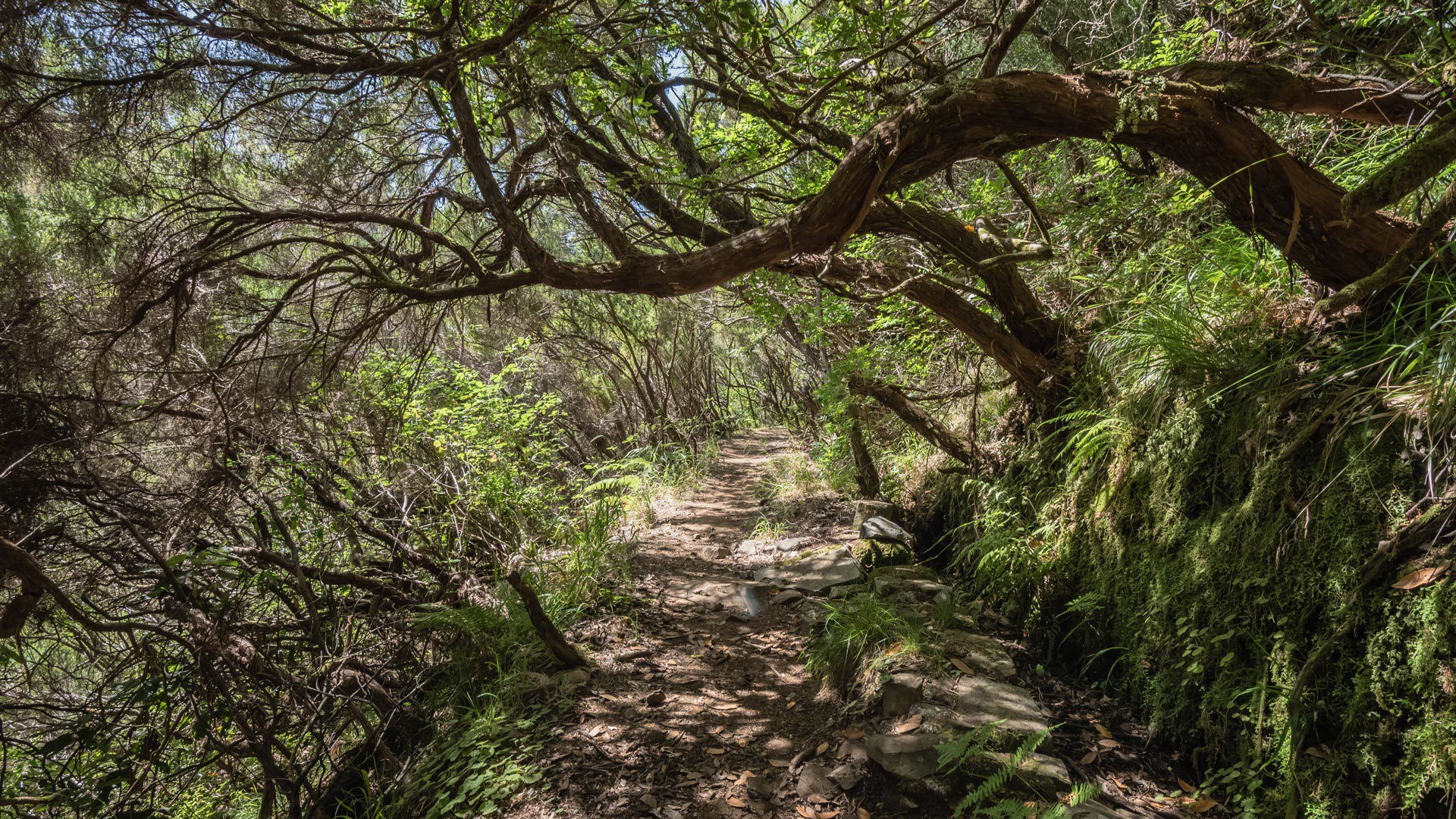 levada velha do rabaçal pr 6.4