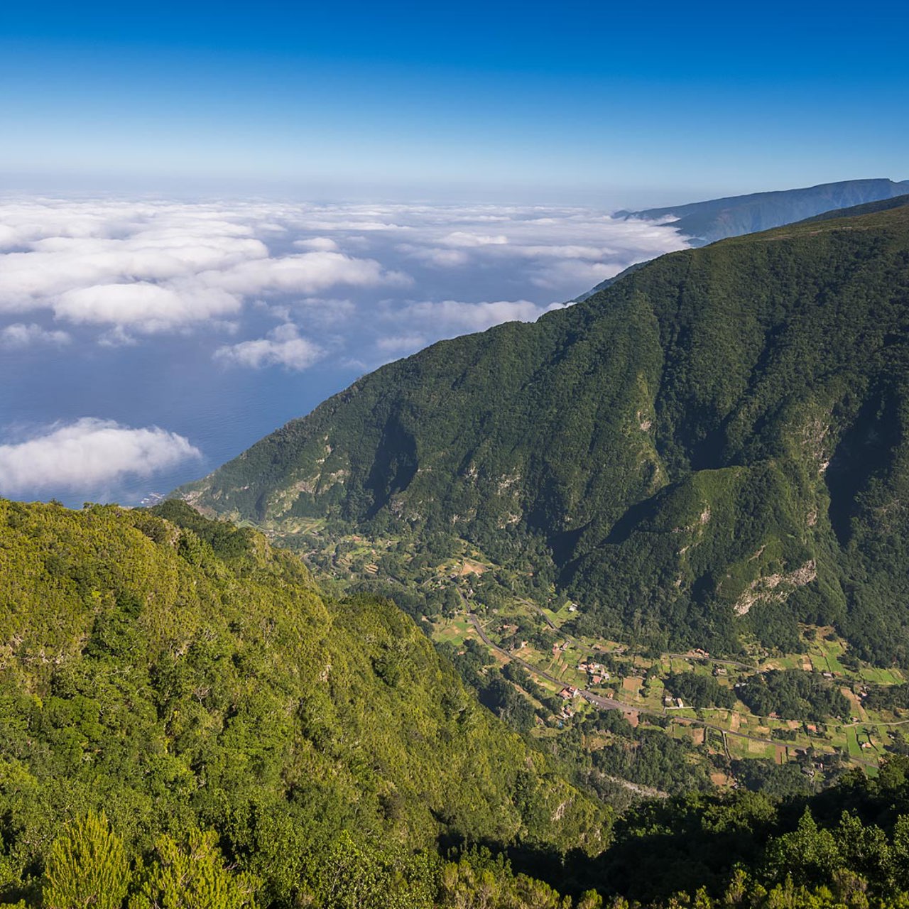 Madeira Blog