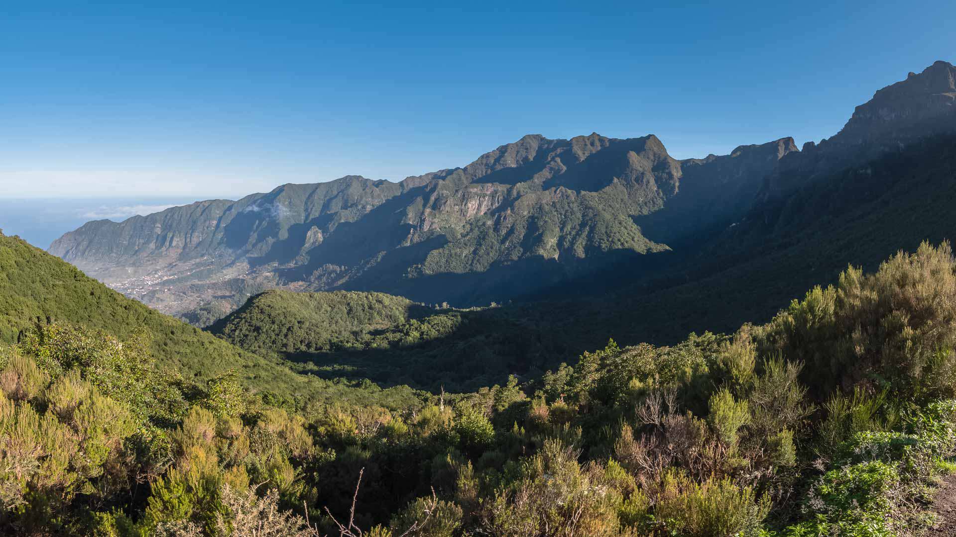 Nature luxuriante dans une vallée verdoyante.