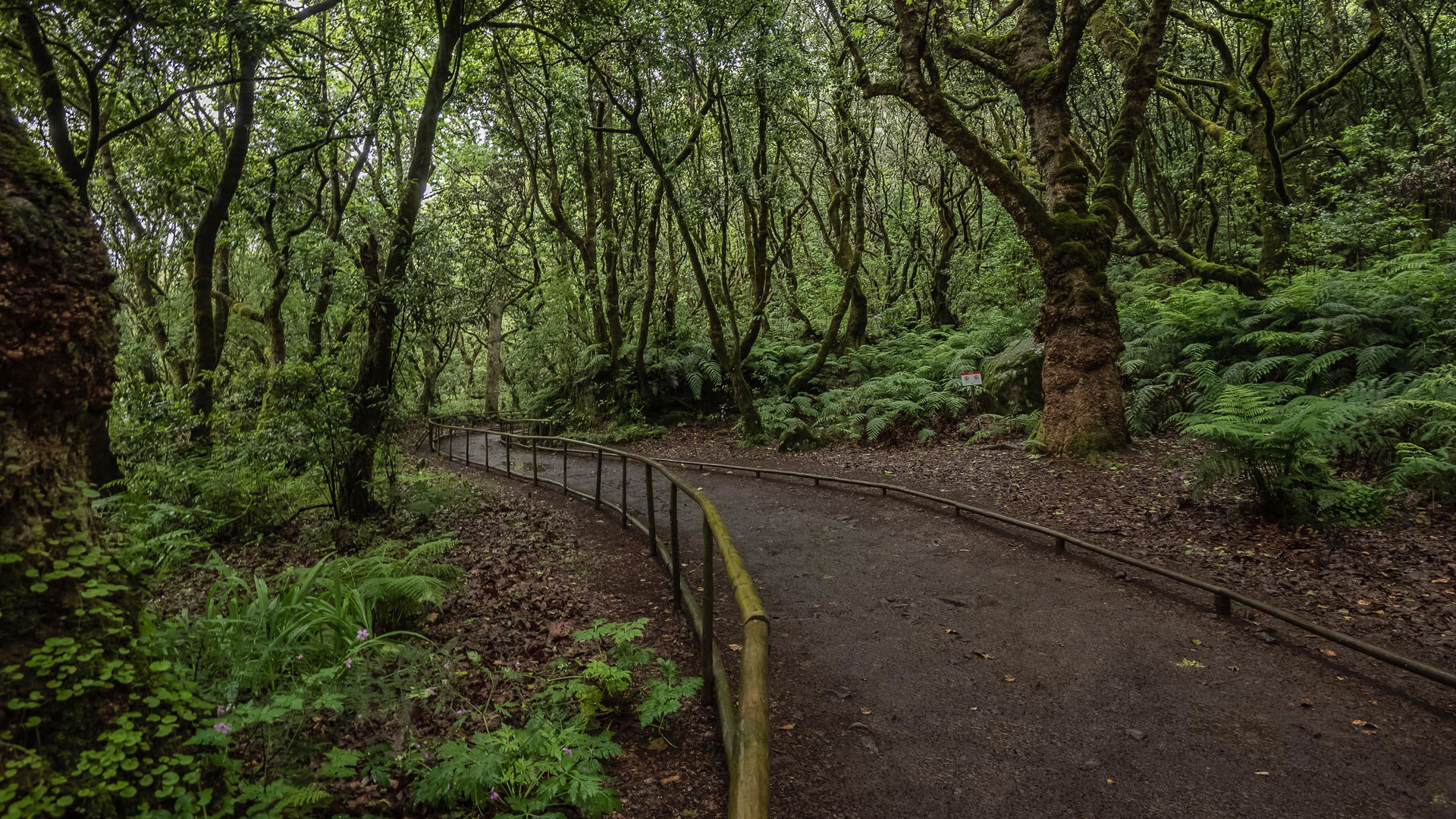 levada do caldeirão verde um caminho para todos pr 9.1