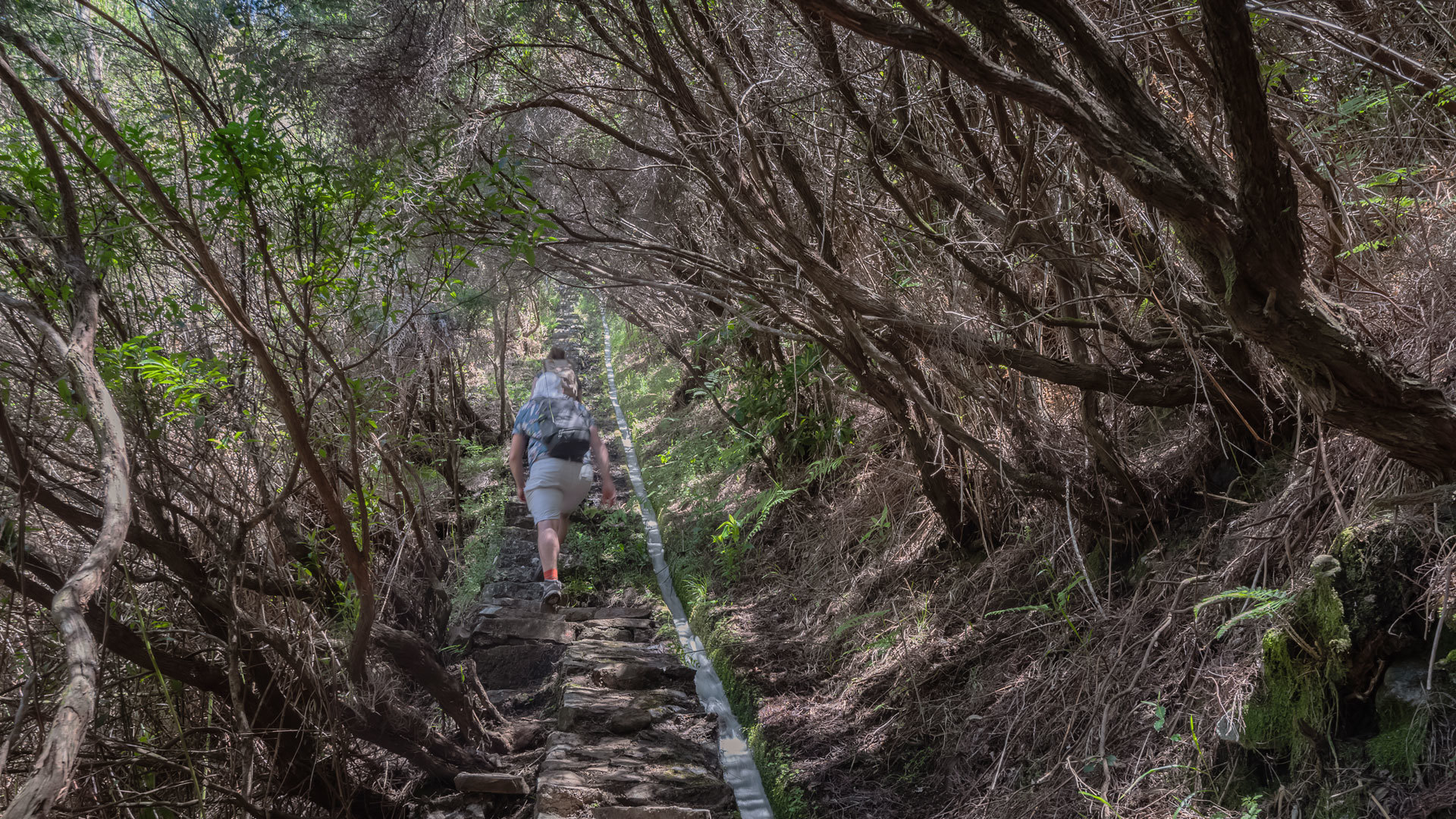 levada da rocha vermelha pr 28