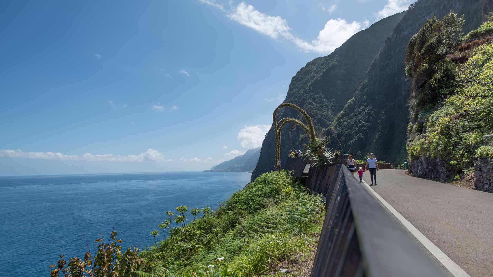 Route sinueuse entre montagne et mer à Madère.
