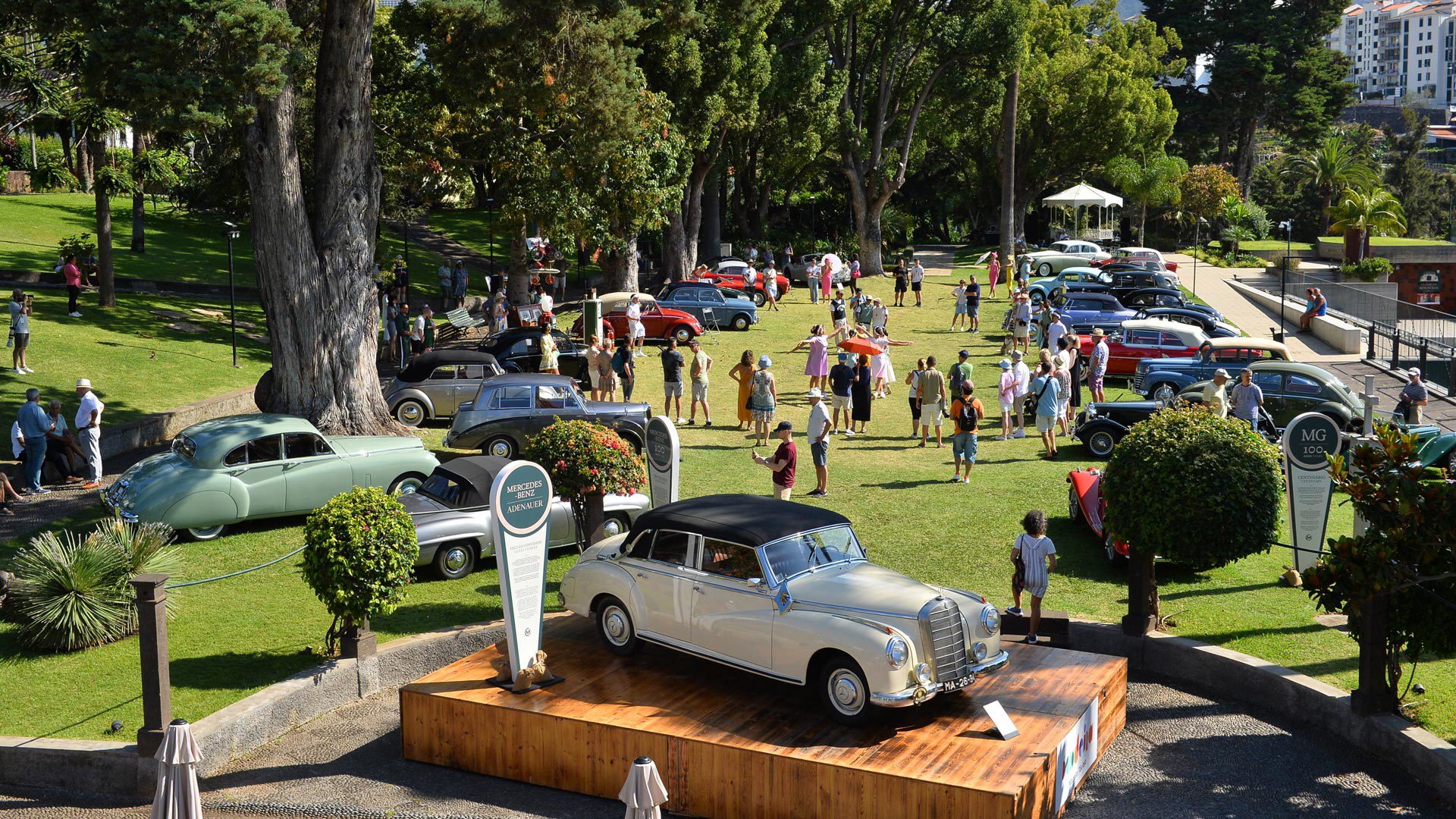 Klassische Autos in verschiedenen Farben beim Event „Klassiker in der Magnolia“ ausgestellt.