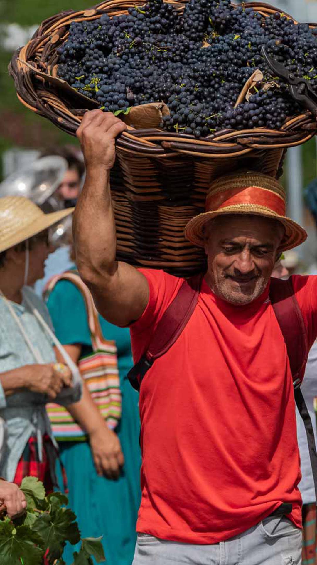 la fiesta del vino de madeira 14