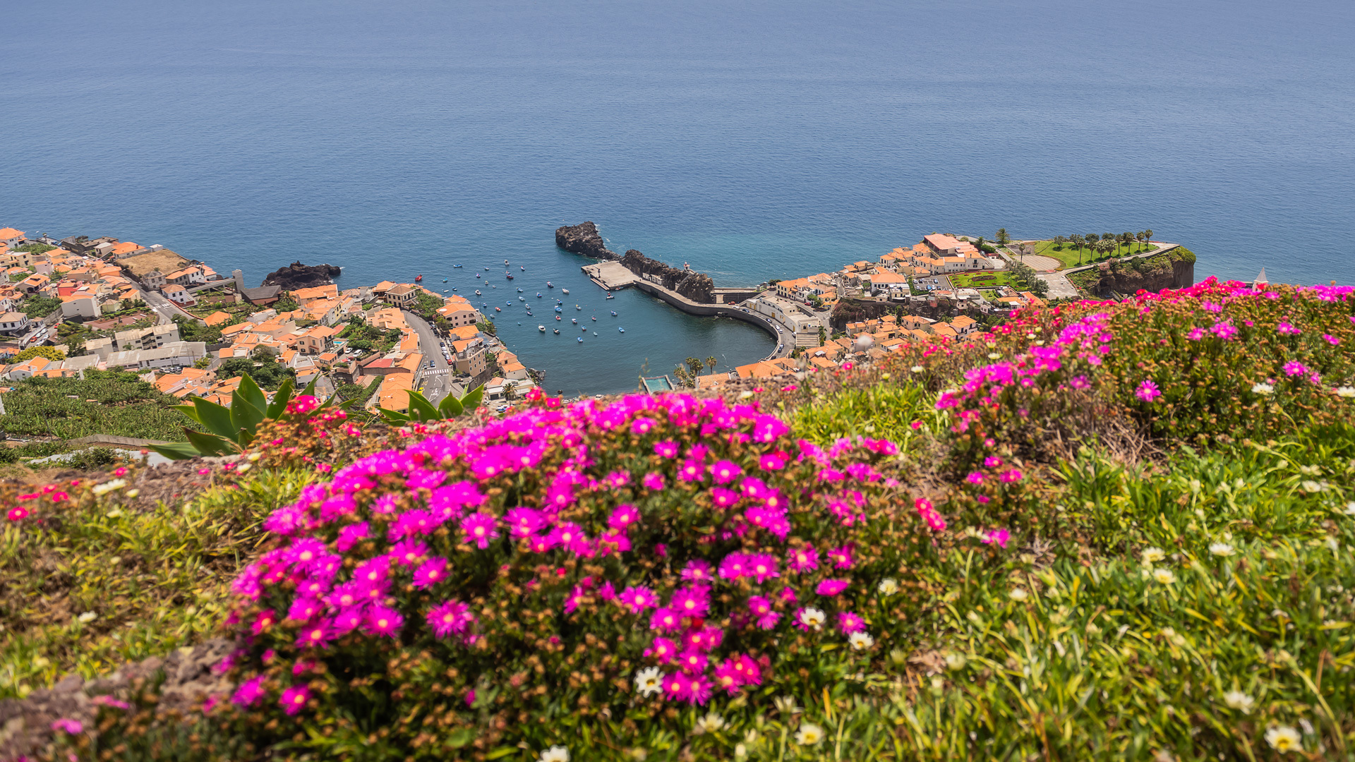 Câmara de Lobos 3