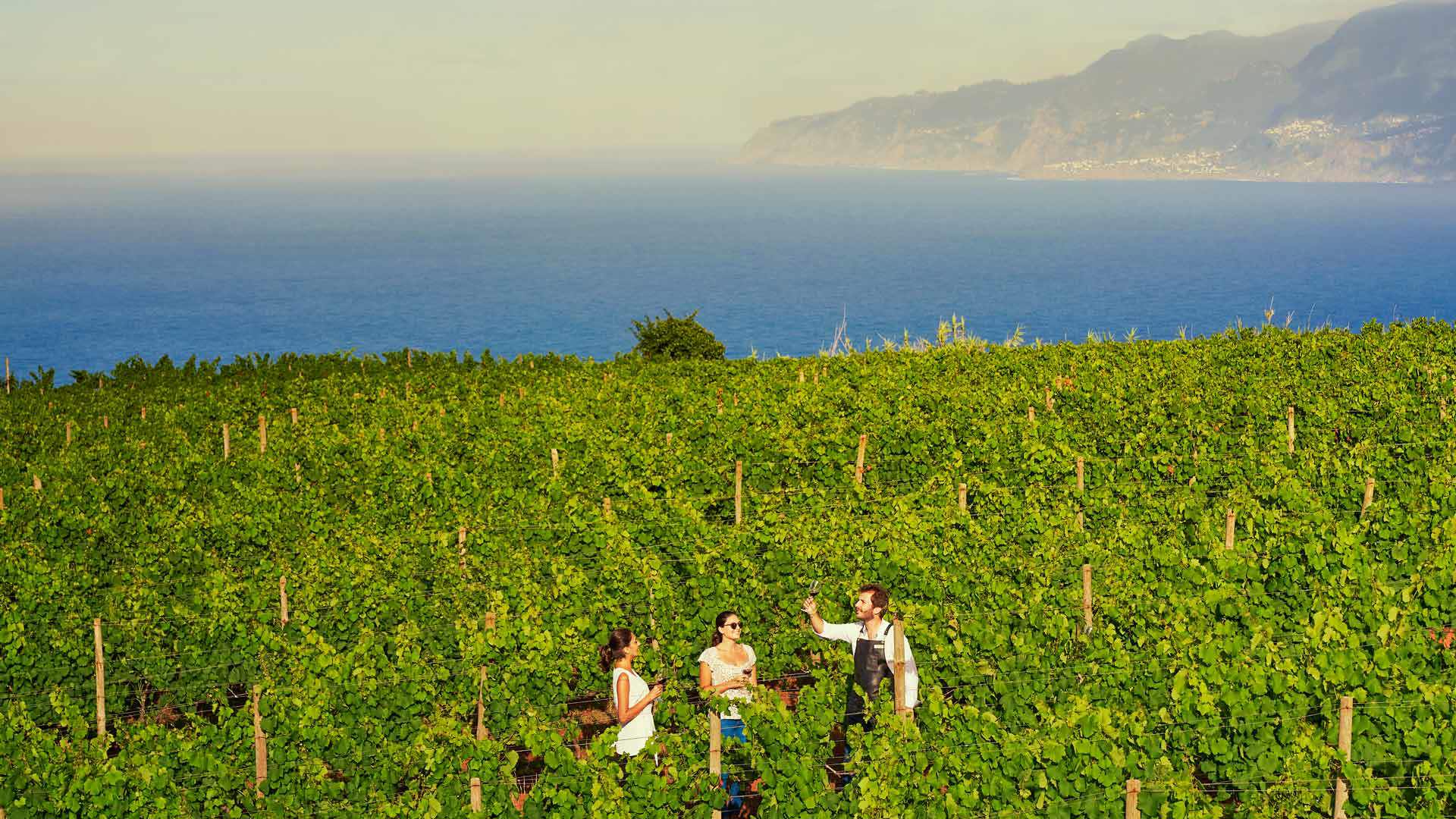 Three people by the vineyards on the coast of Madeira Island.