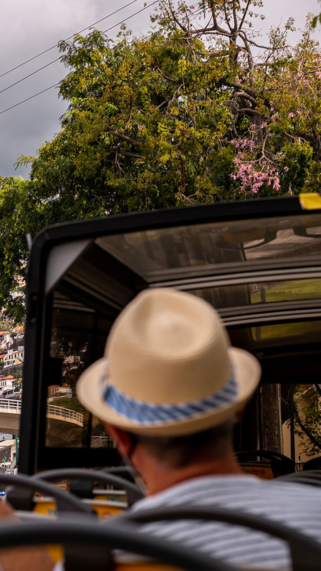 yellow bus madeira 6