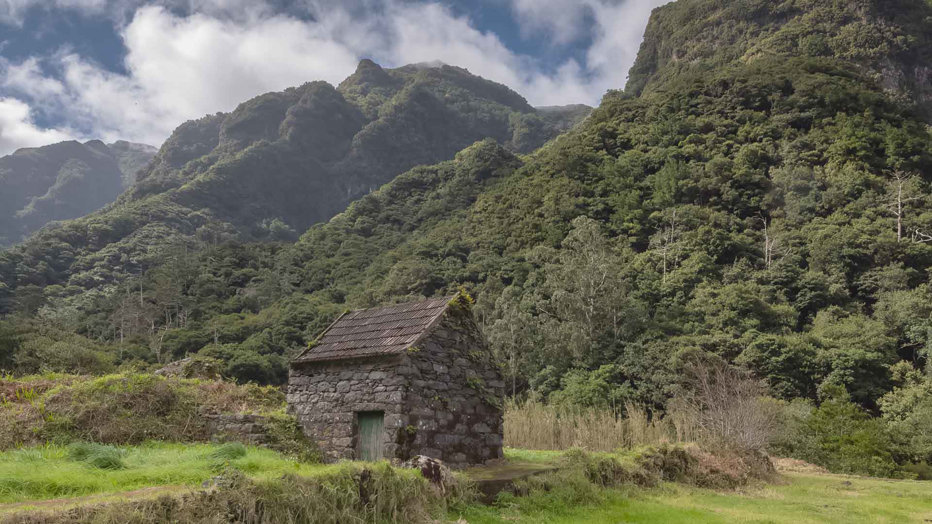 Stone house isolated amid green nature.