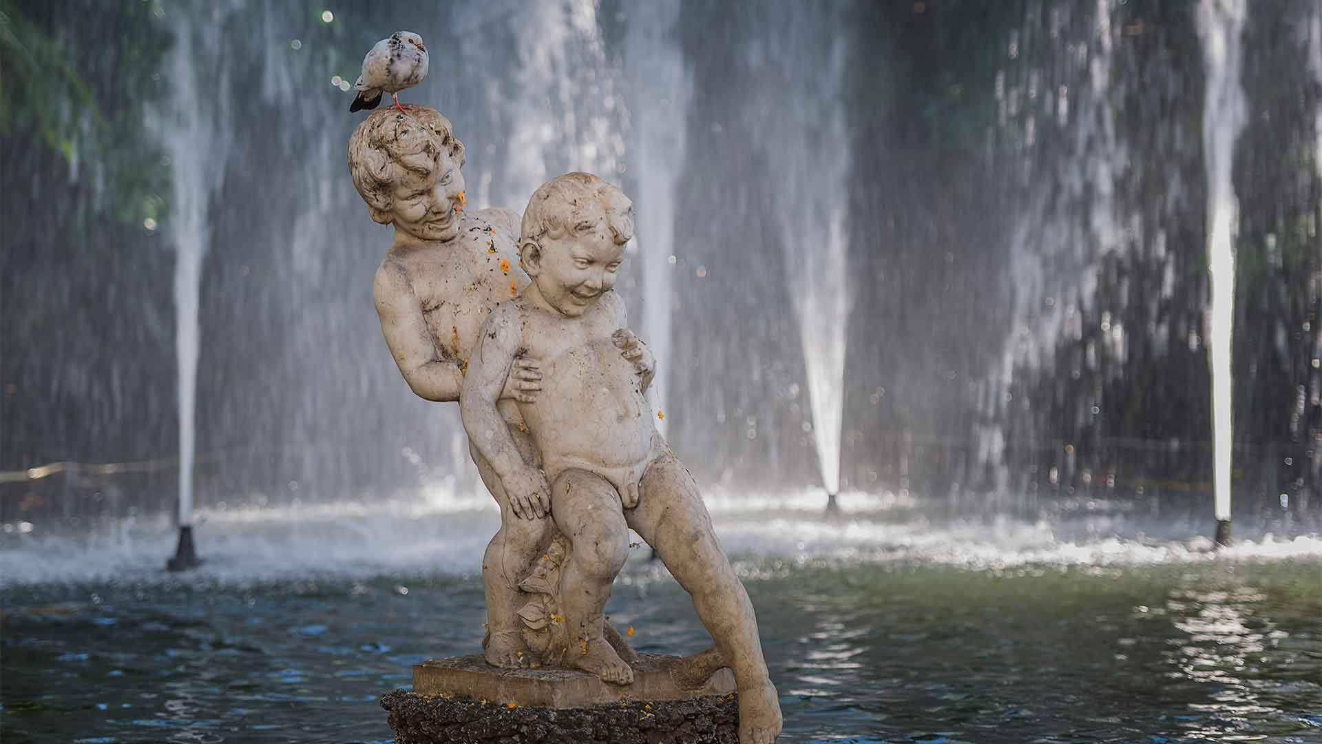 Städtischer Garten von Funchal 6