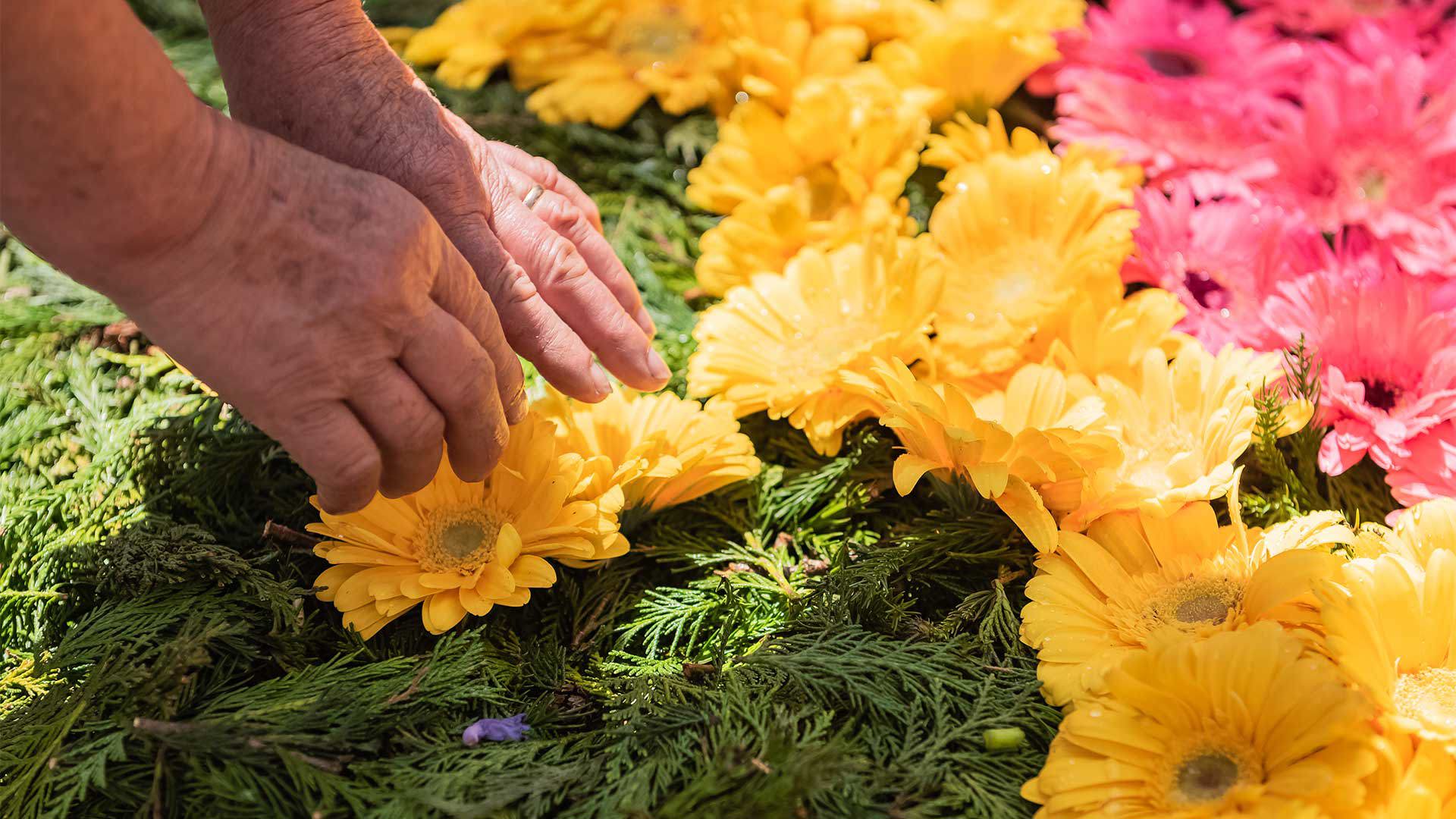 fiesta de la flor madeira 16