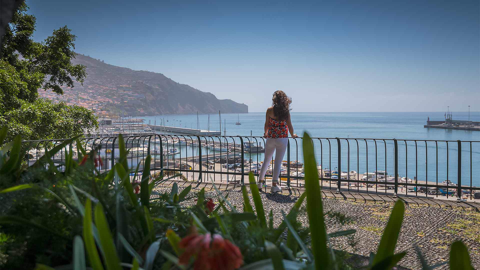 Point de vue du parc Santa Catarina 4