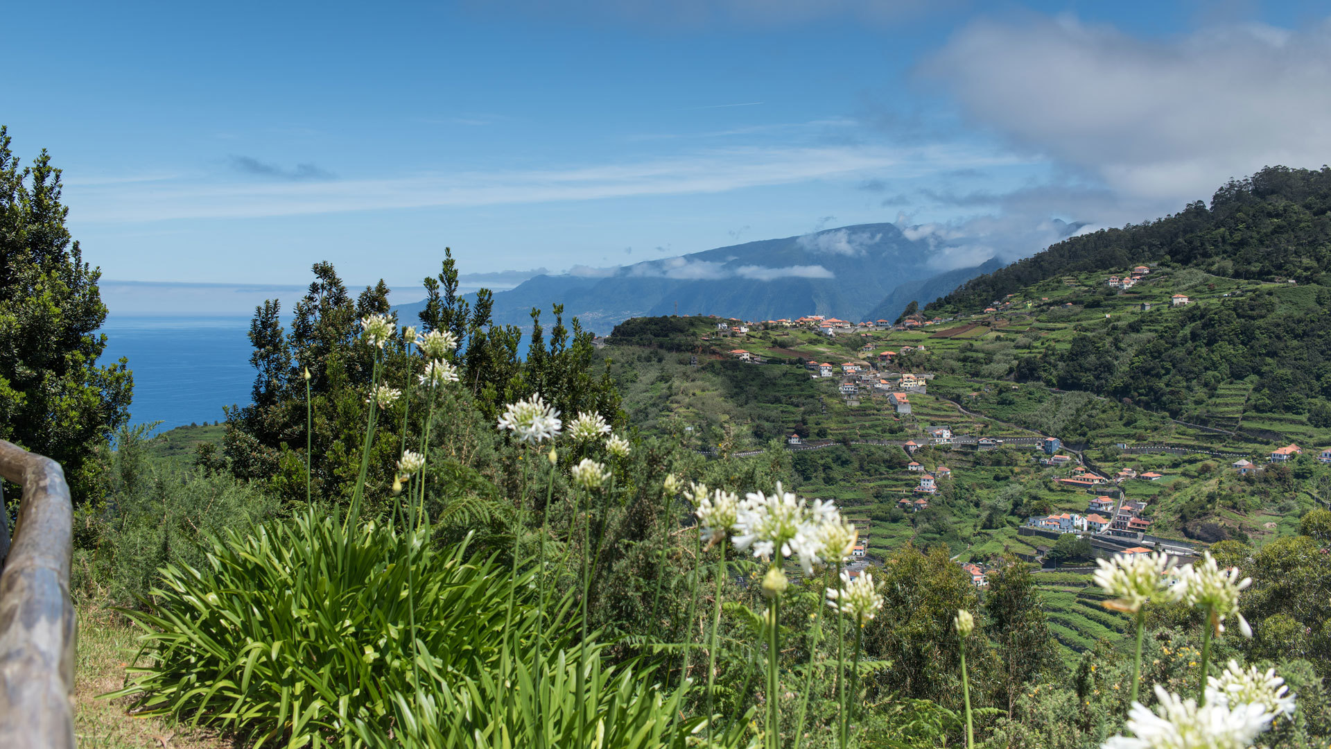 Aussichtspunkt mit bunten Blumen, Berg und Wald im Hintergrund.