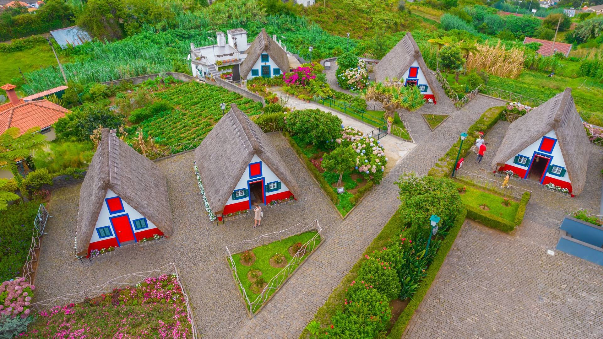 Casas triangulares tradicionais rodeadas de jardim e natureza na Madeira.