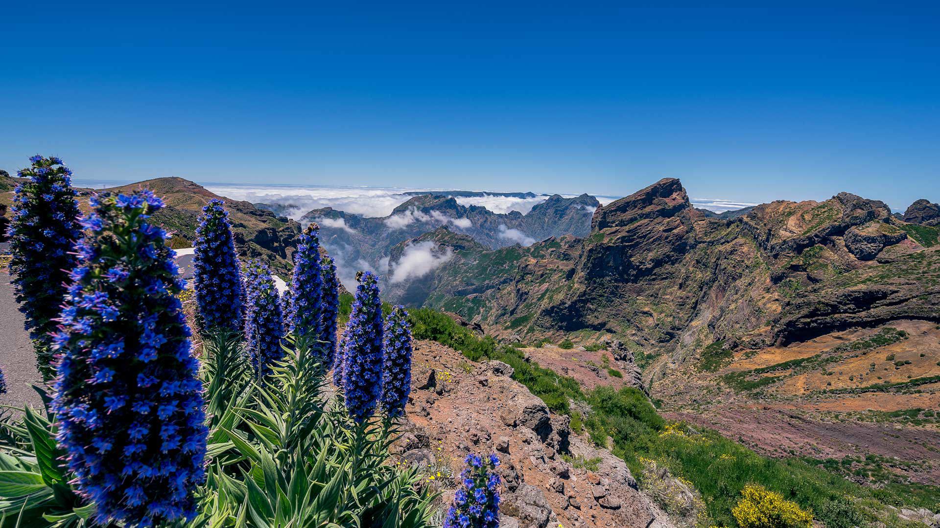 levada pico do arieiro 40