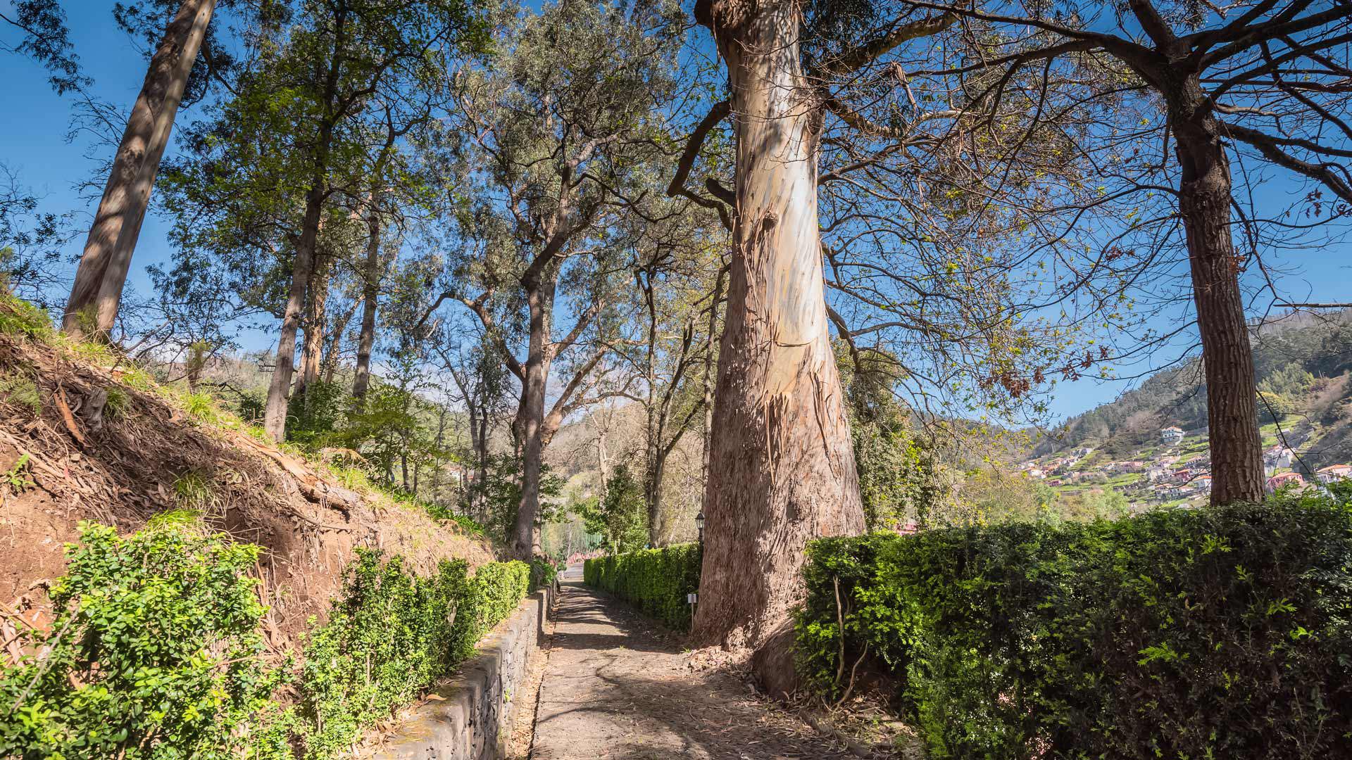 quinta do jardim da serra madeira 24