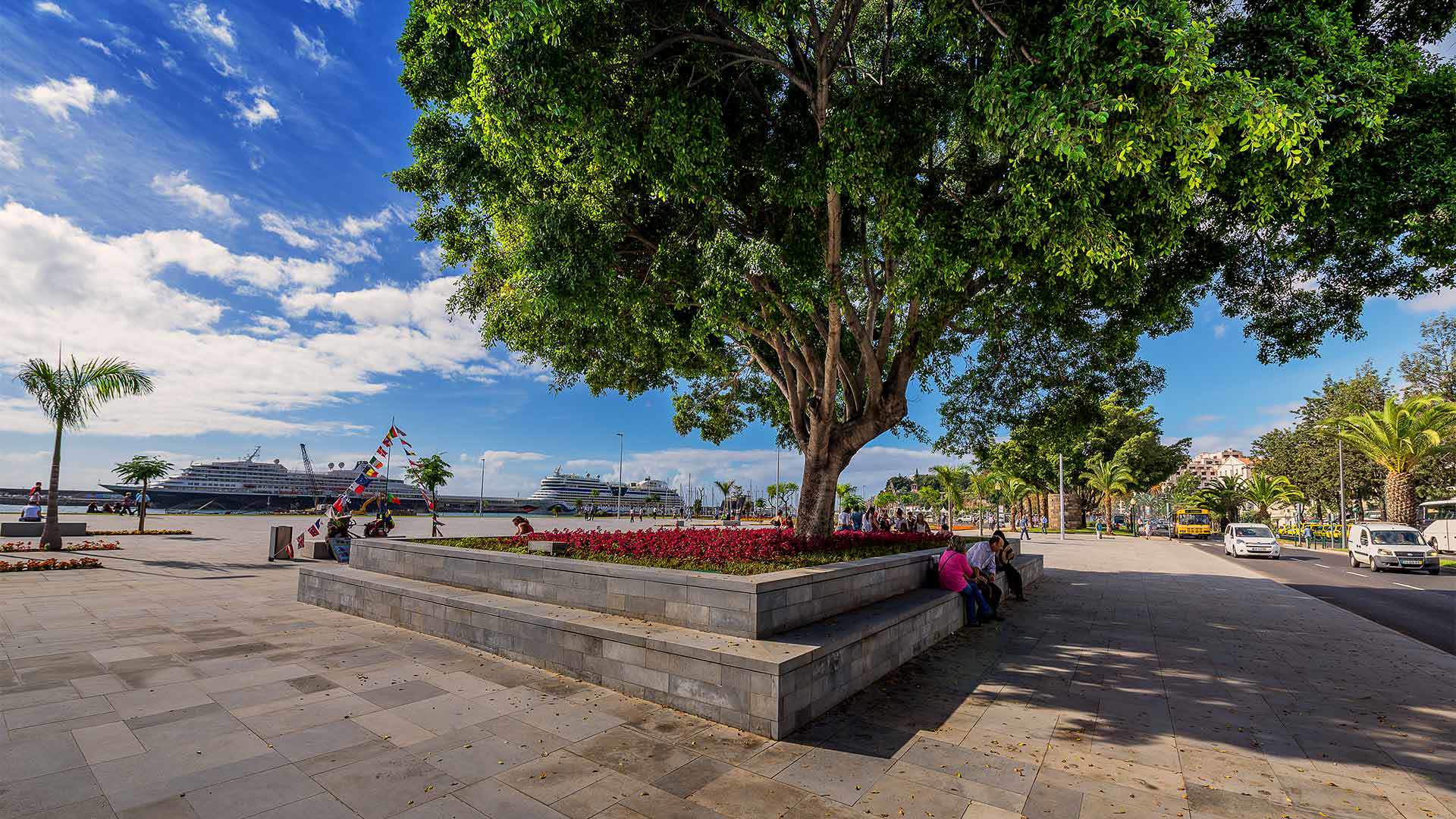 praça do povo funchal 5