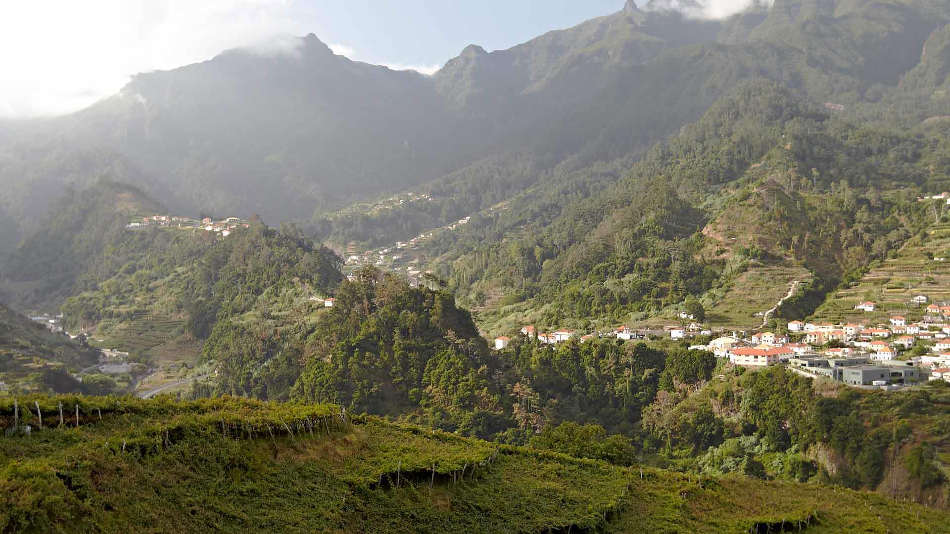 Mountain view surrounded by nature on Madeira Island.