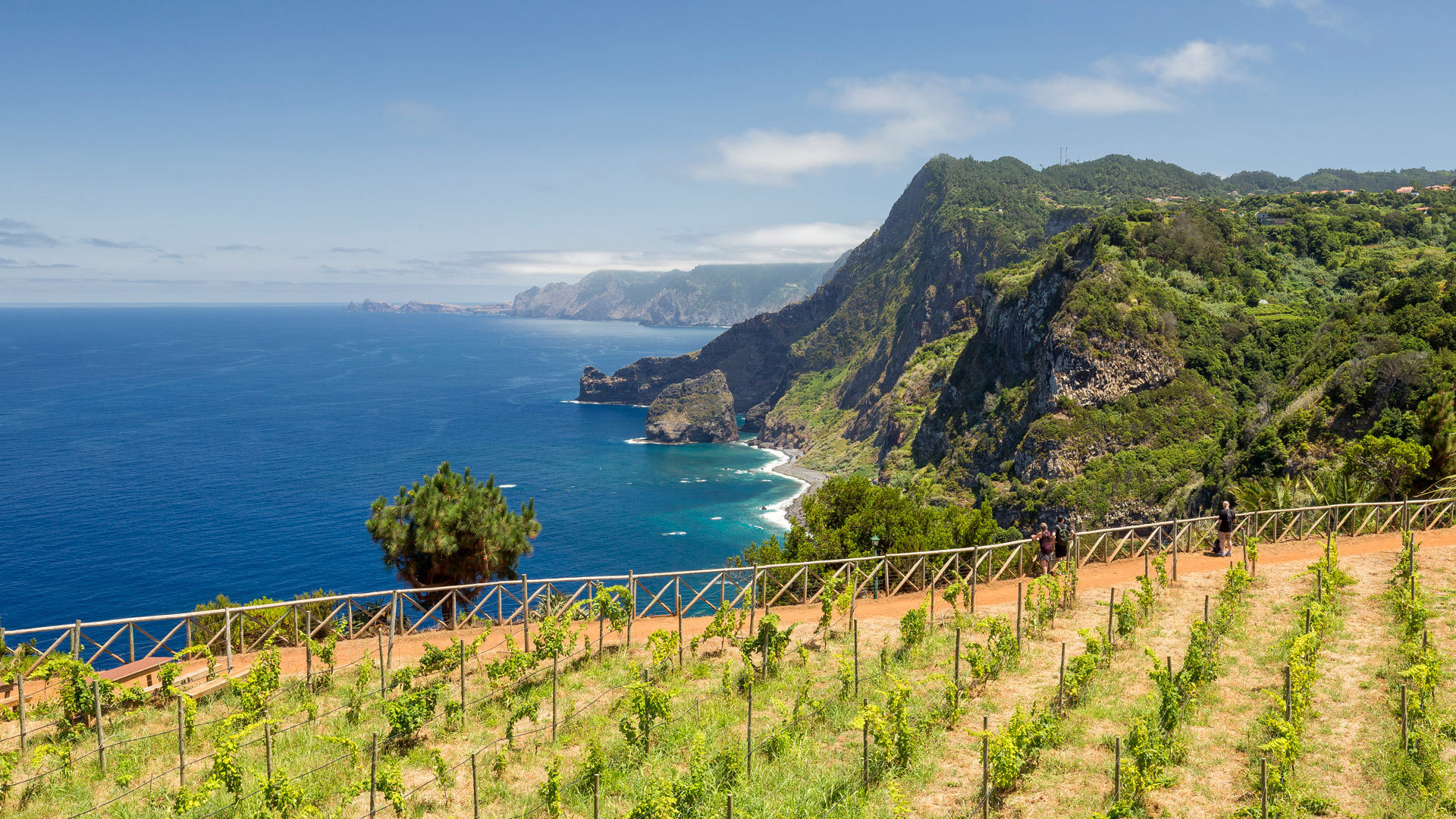 Terrenos cultivados con montañas y mar en Madeira.