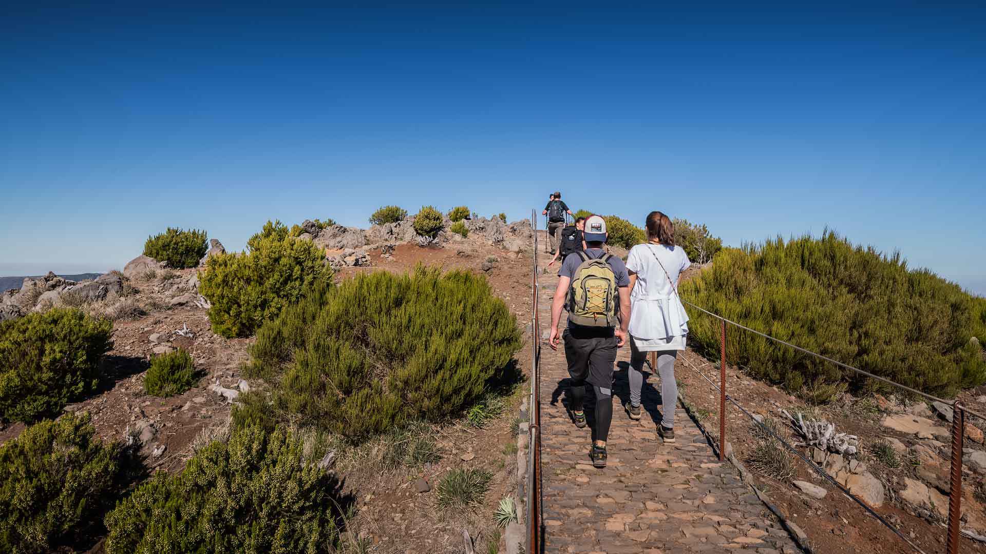 Personas caminando por un sendero en medio de la naturaleza en Madeira.