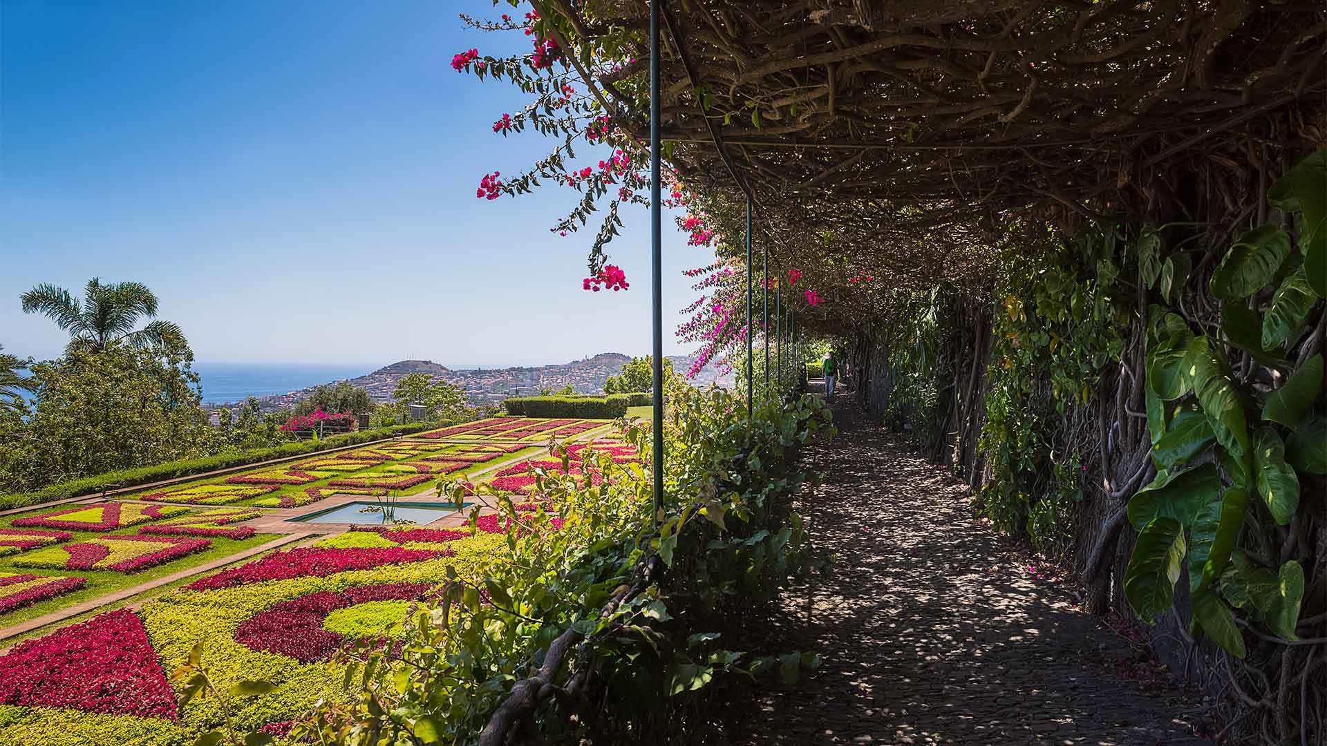 Paseo por el Jardín Botánico con vistas a Funchal y flores de colores, en la isla de Madeira.