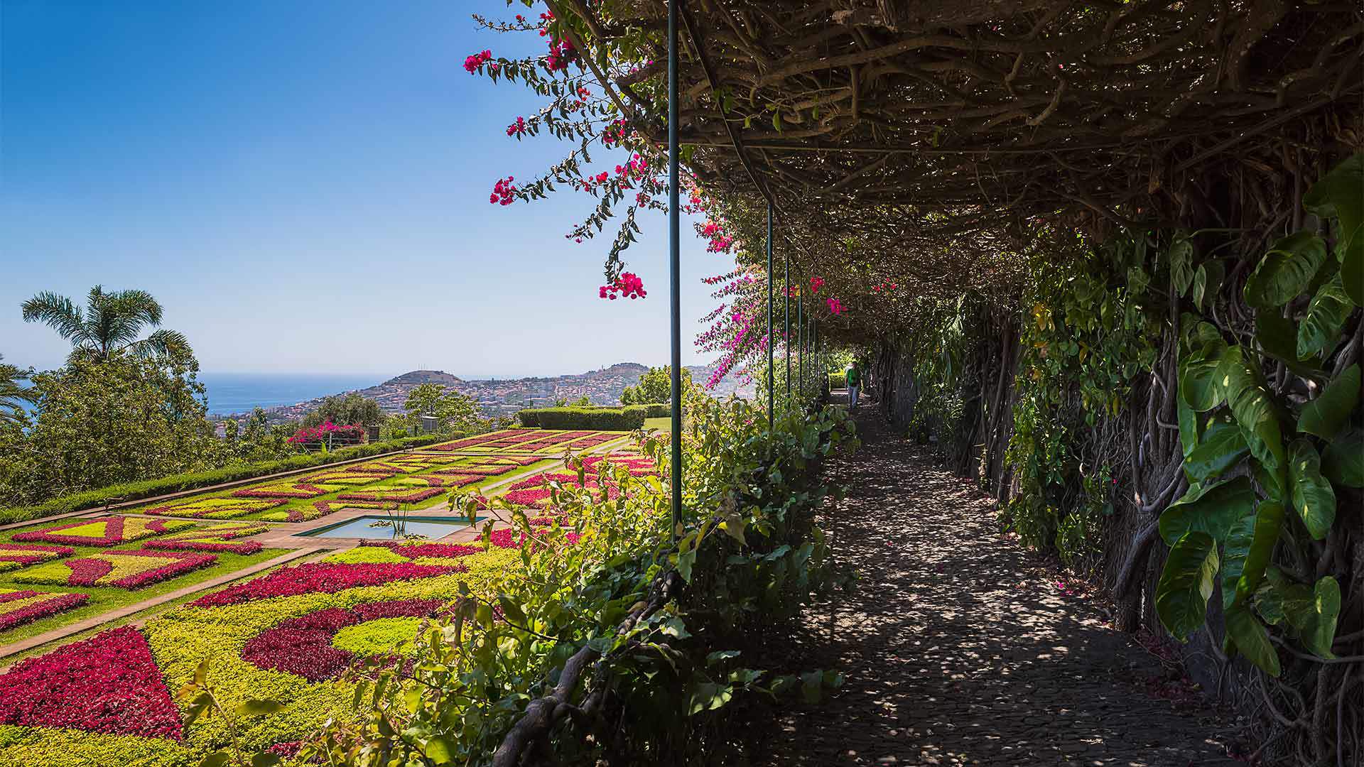 jardín botánico de madeira 5