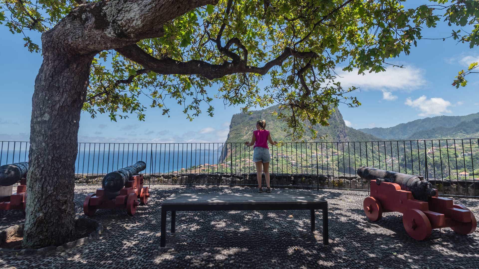 Viewpoint with historic cannons amid nature in Madeira.