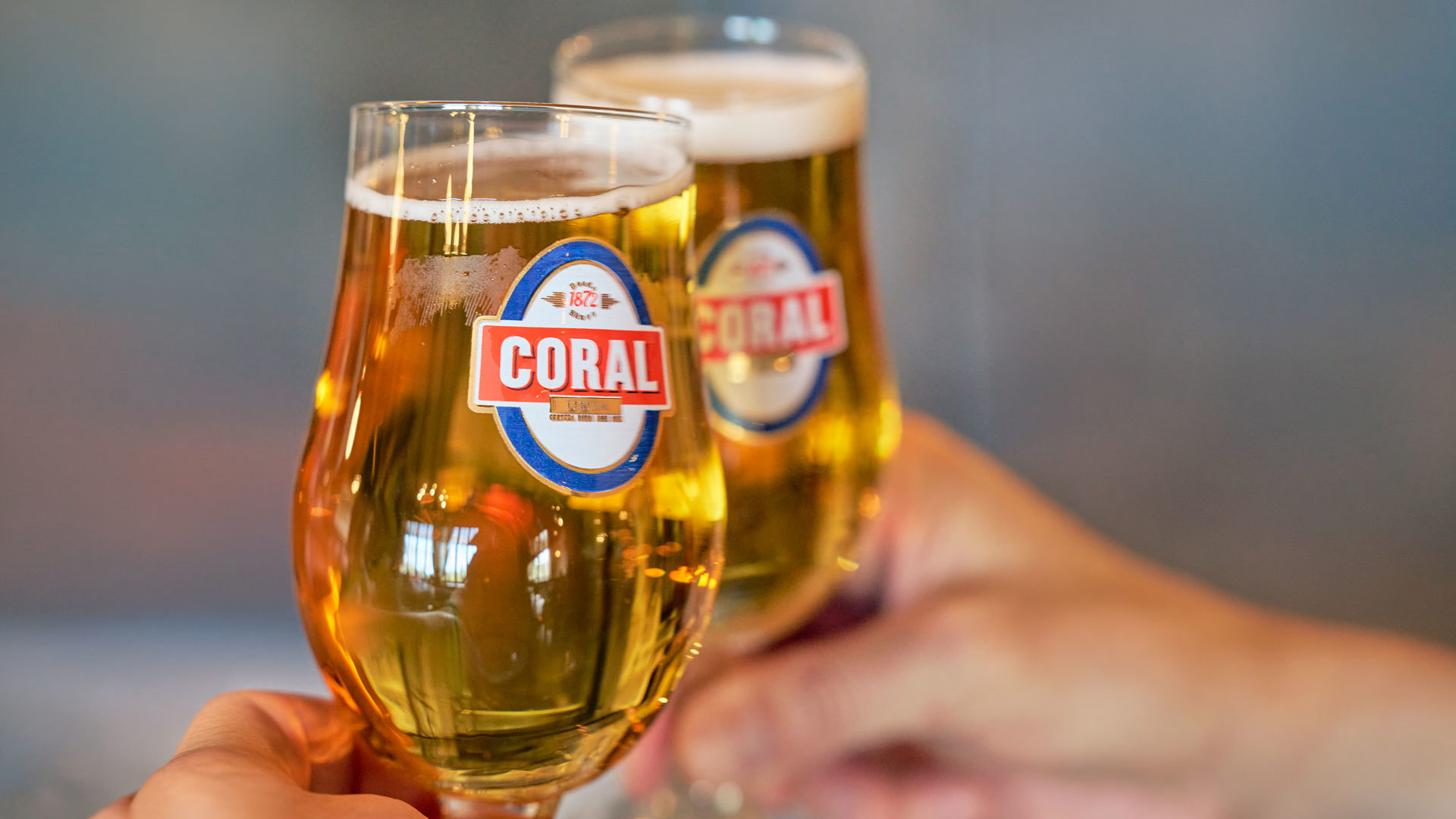 Brindis con copas de cerveza, manos levantadas en la isla de Madeira.