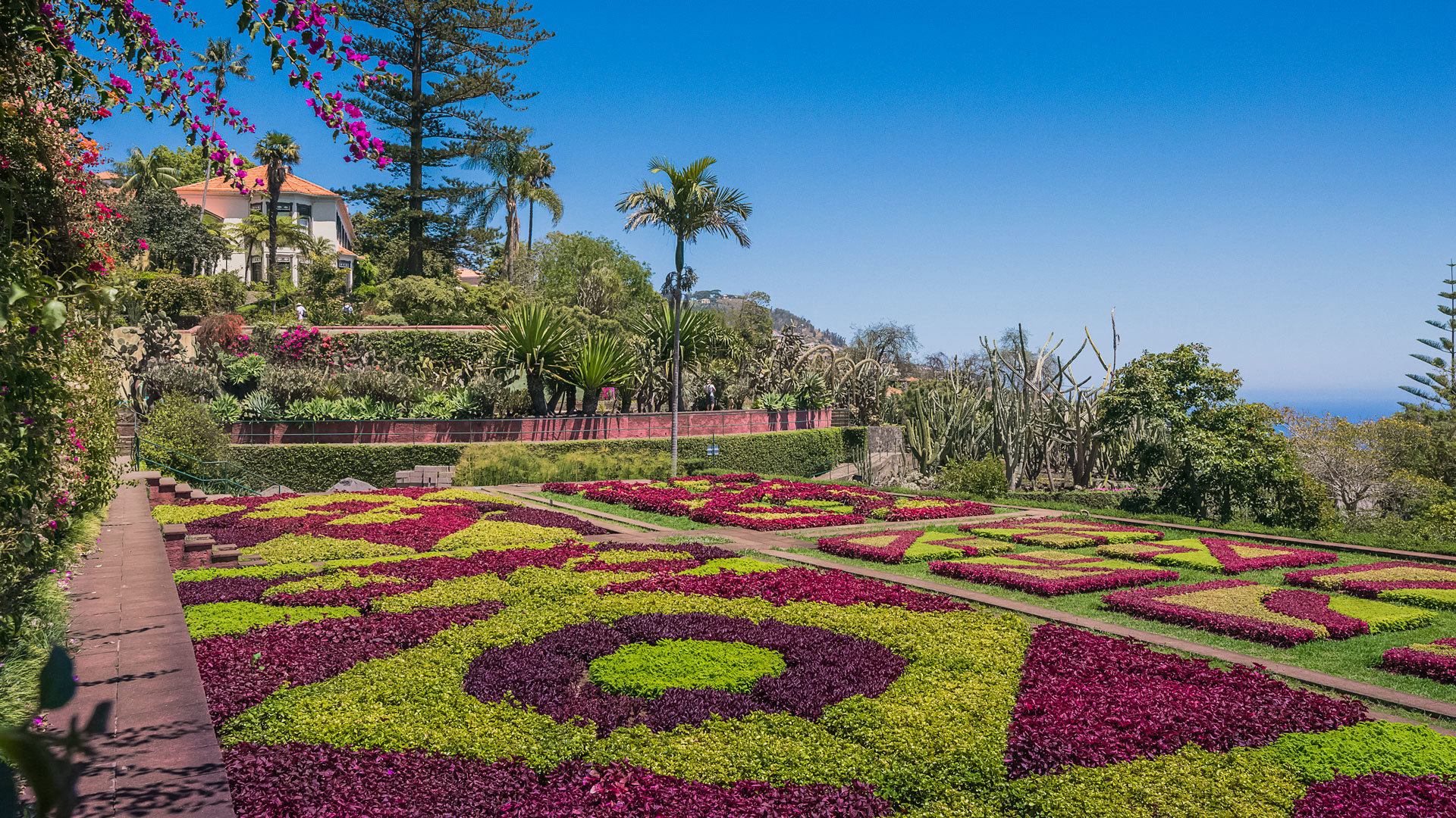 Bunte Blumen mit einem Gebäude im Hintergrund im Botanischen Garten auf der Insel Madeira.