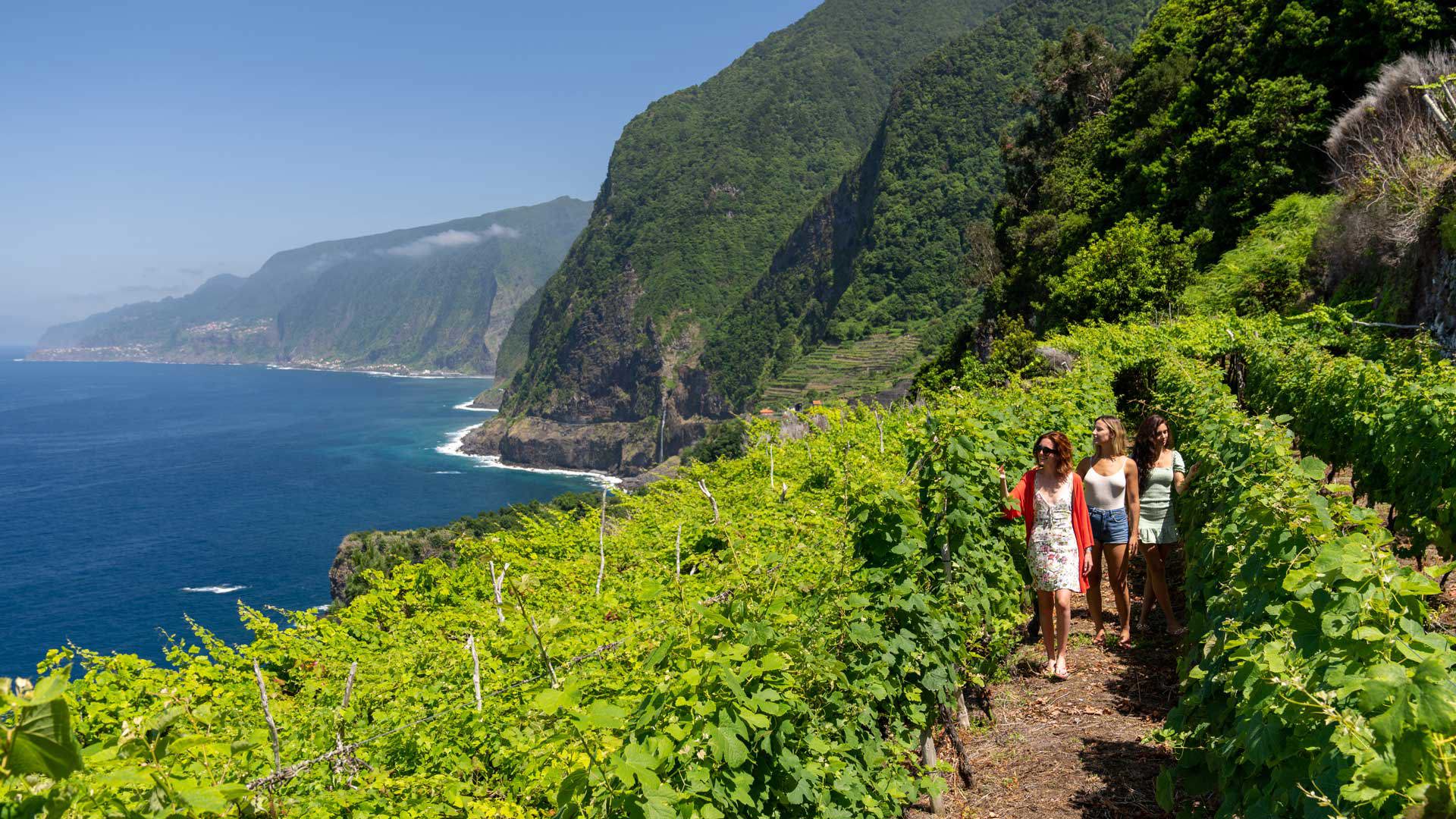 Three women on the north coast with vegetation and sea view.