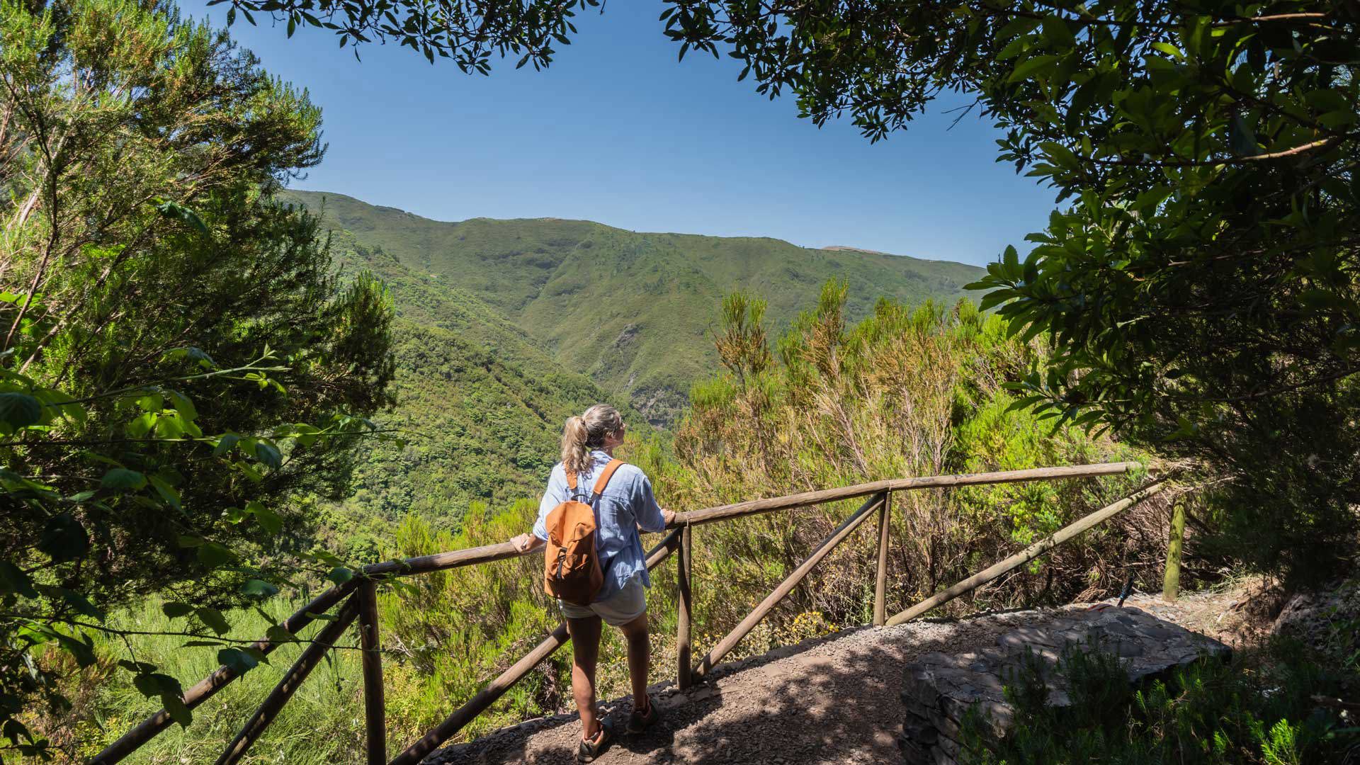 Woman at a viewpoint surrounded by trees and nature.