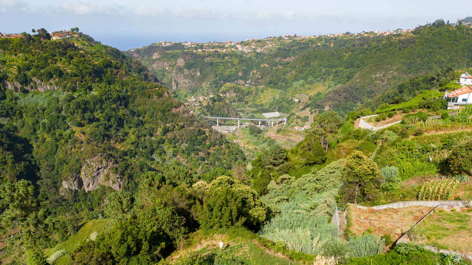 Lands with green vegetation in mountains in Madeira.