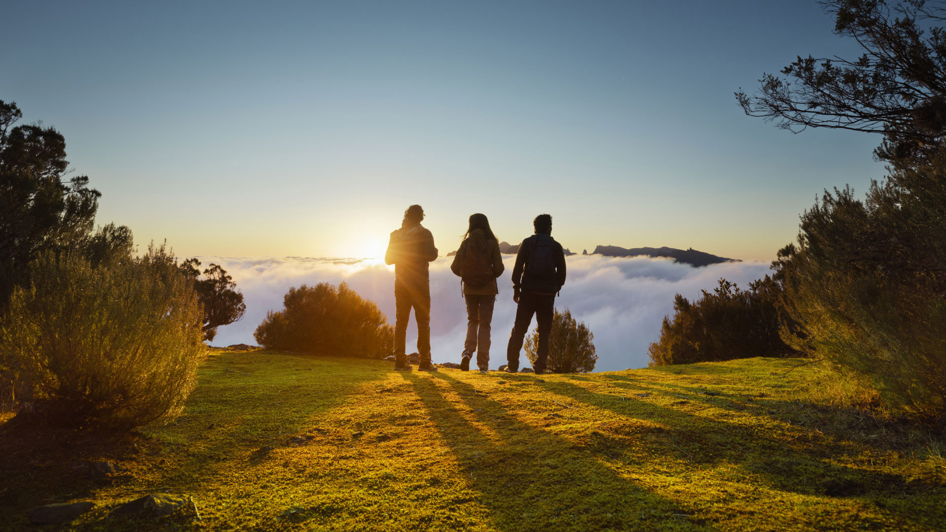 Três pessoas a observar o nascer do sol entre árvores.