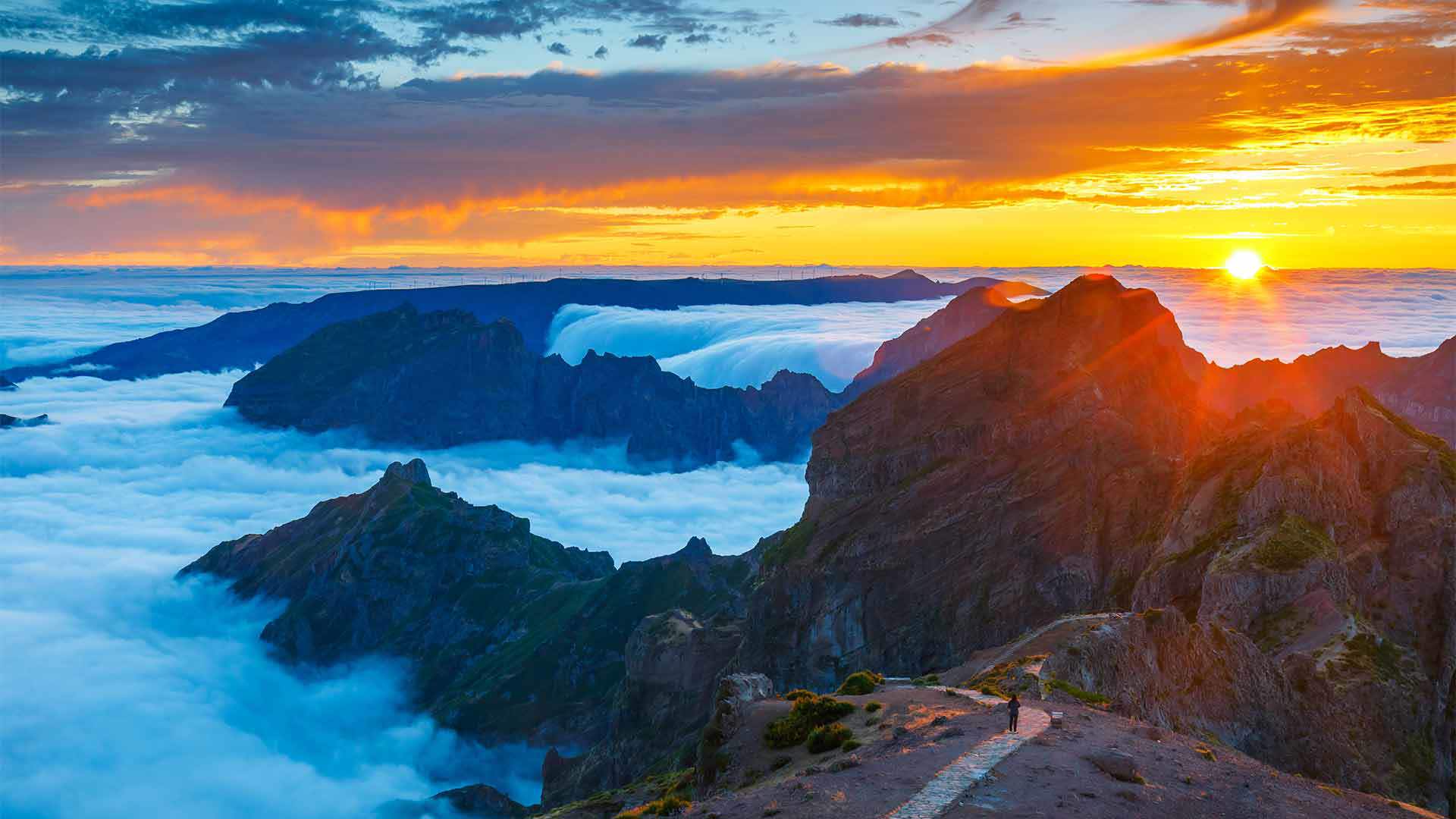 madeira experience tours