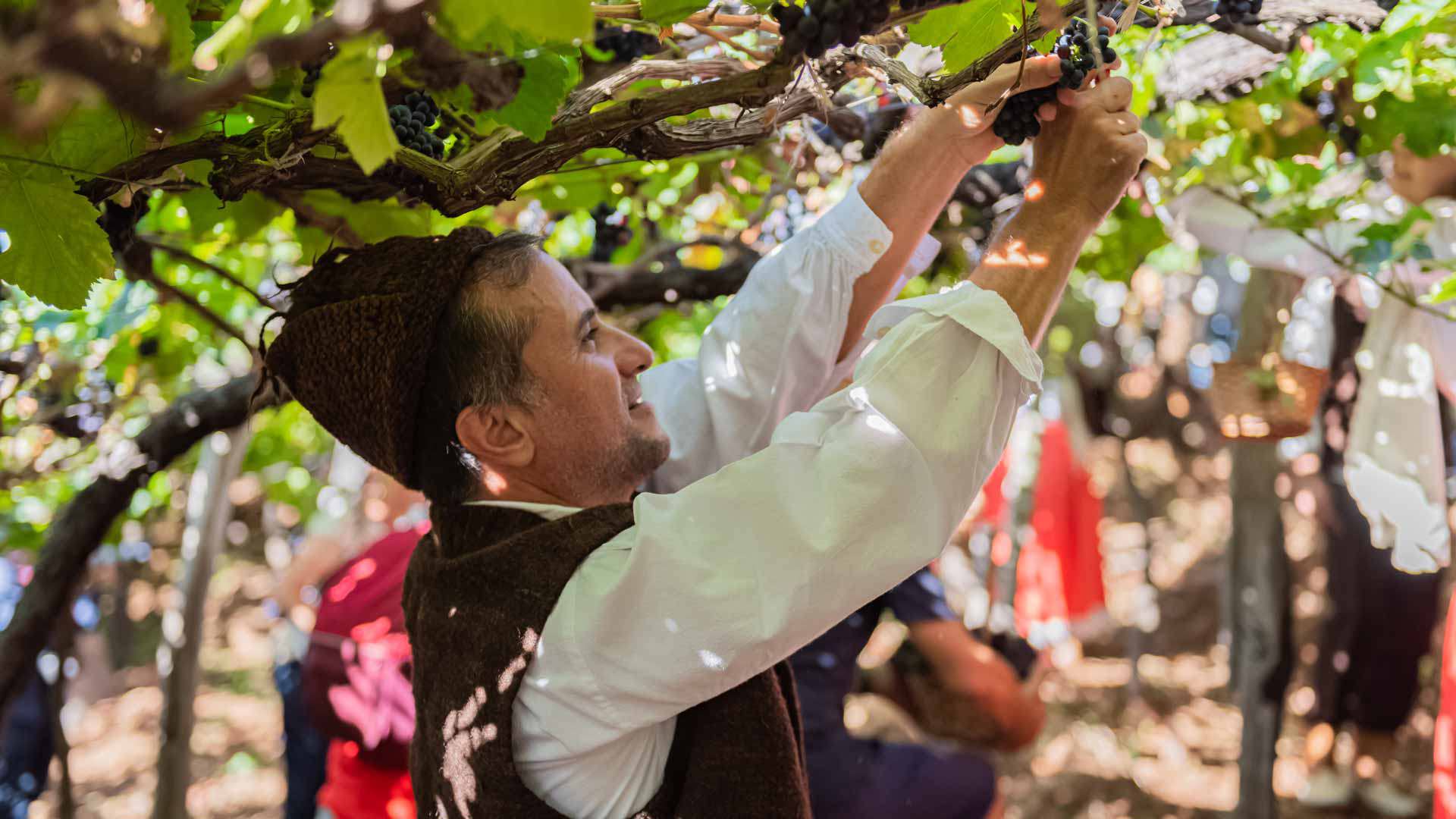 la fiesta del vino de madeira 16