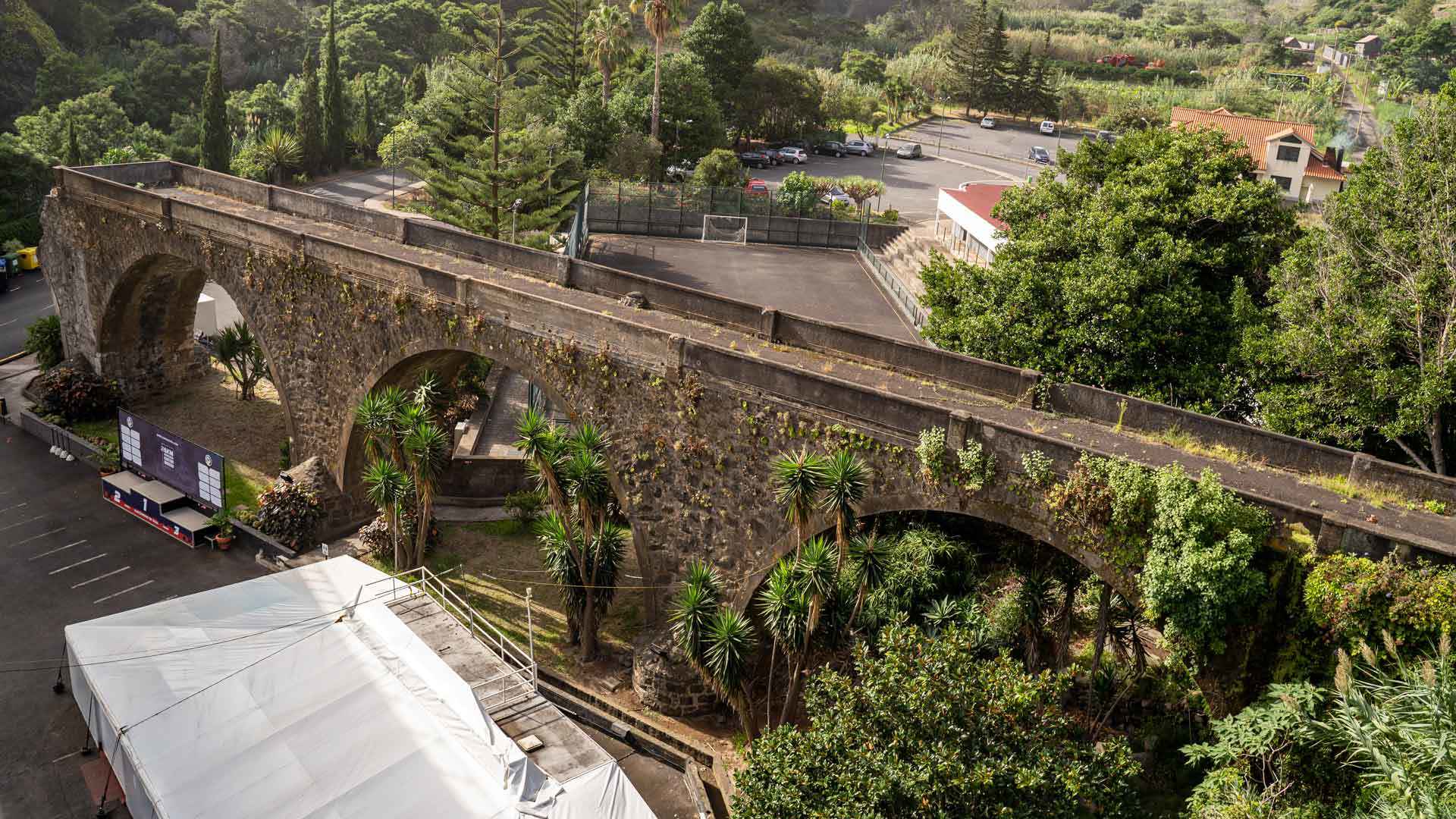 Alte Steinbrücke mit grüner Vegetation.