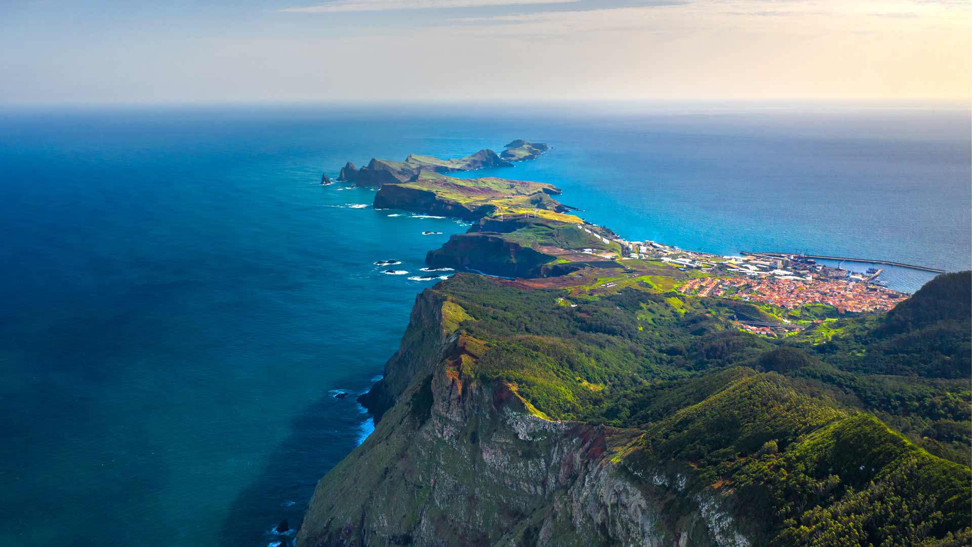 ponta de são lourenço madeira 10