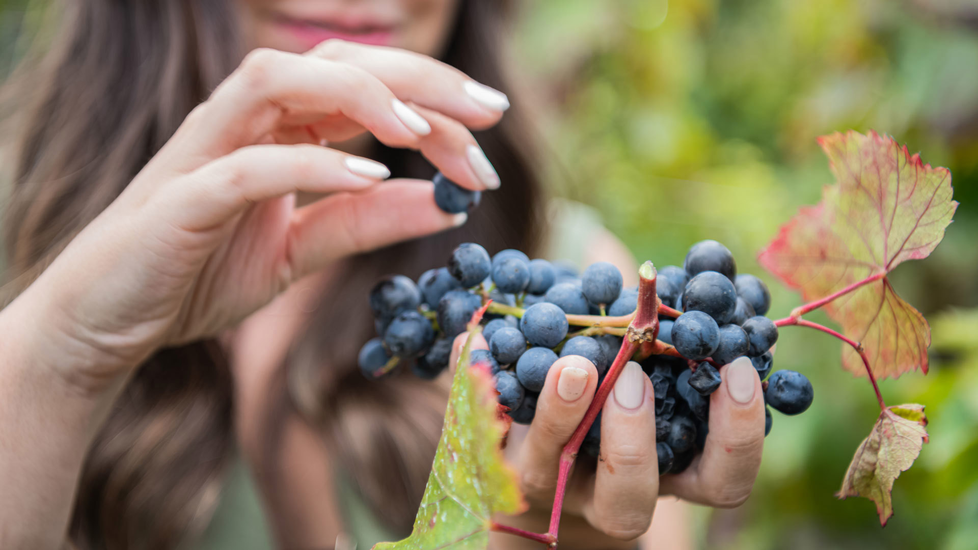 festival du vin de madère 24