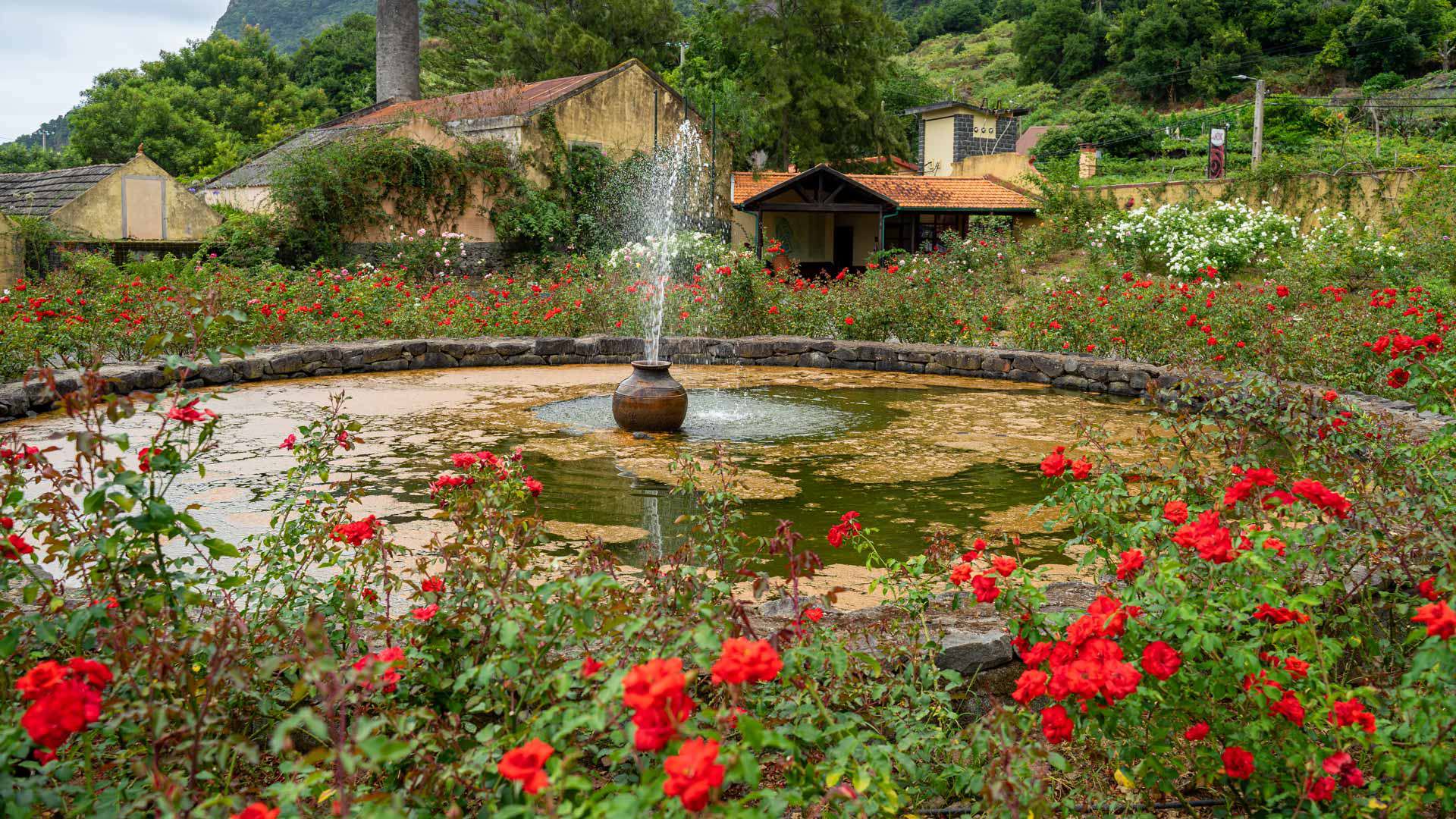 Quinta do Arco à São Jorge 7