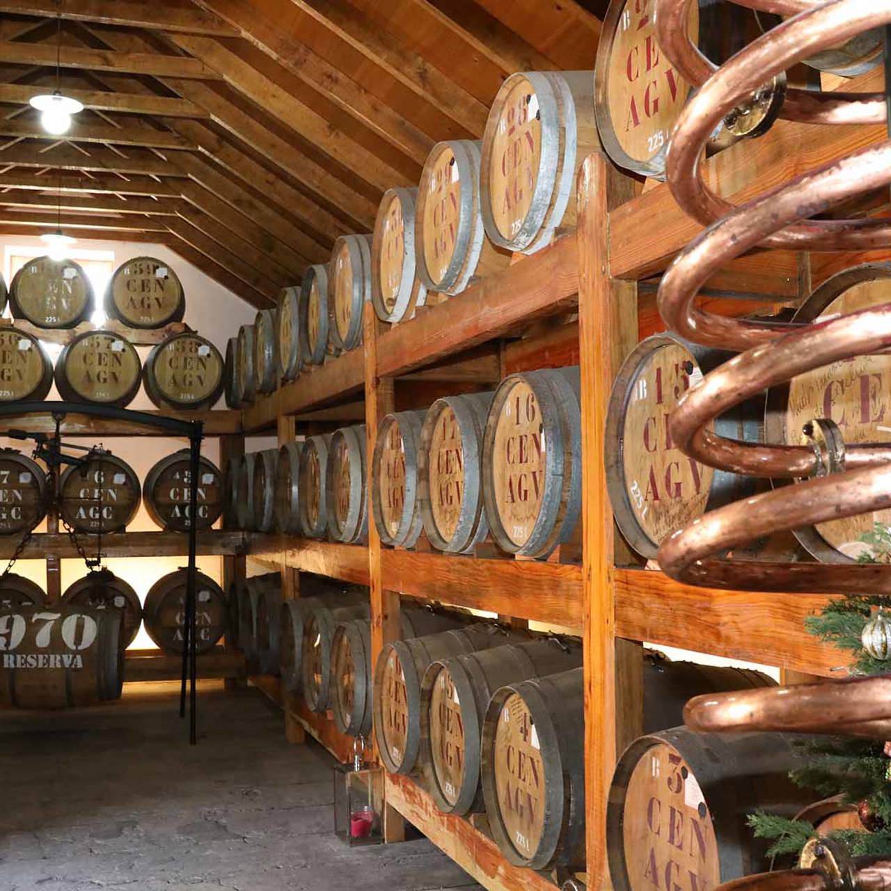 Cellar with Madeira agricultural rum barrels at Ribeiro Seco Distillery.