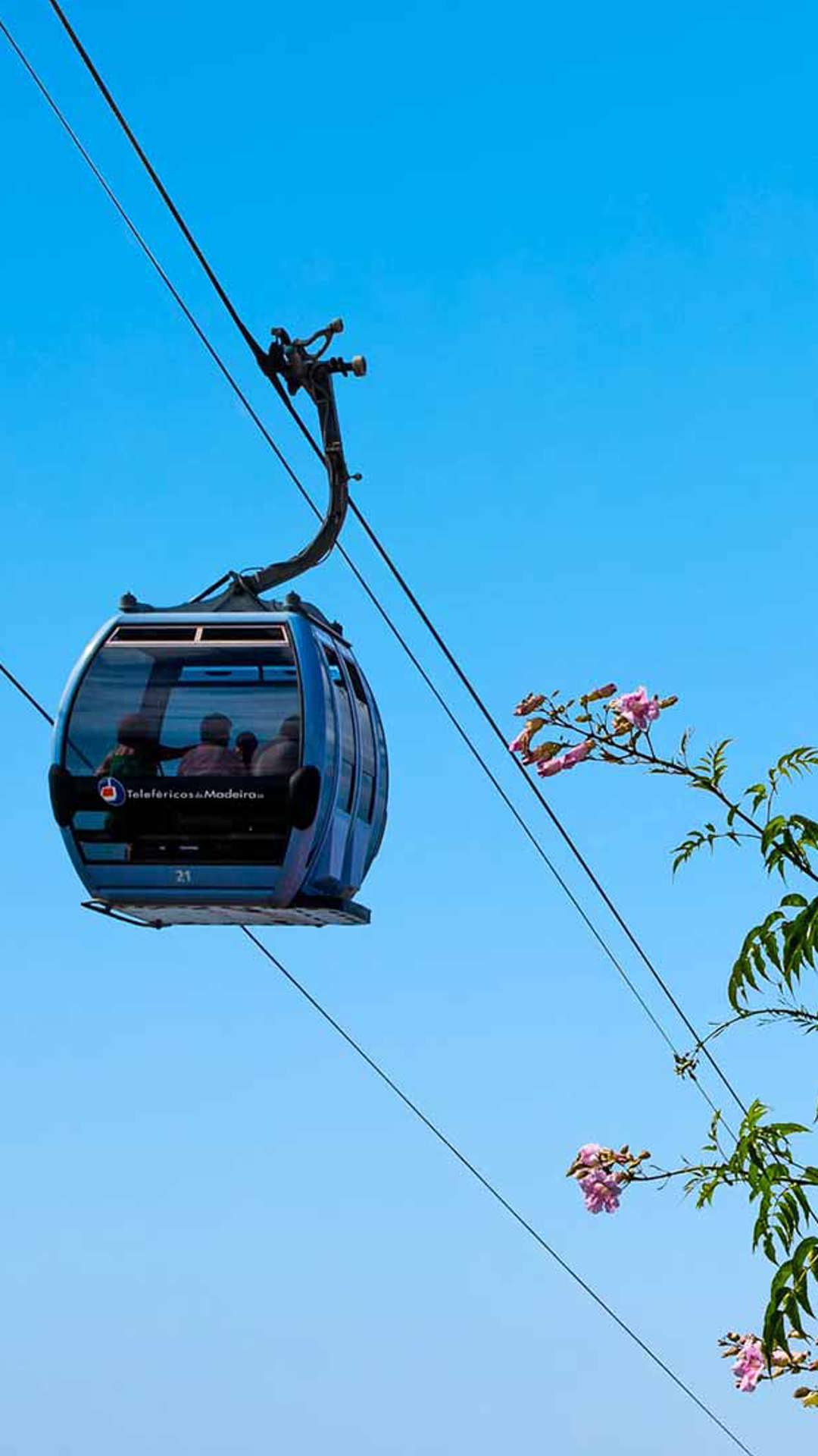 Madeira Cable Car 1