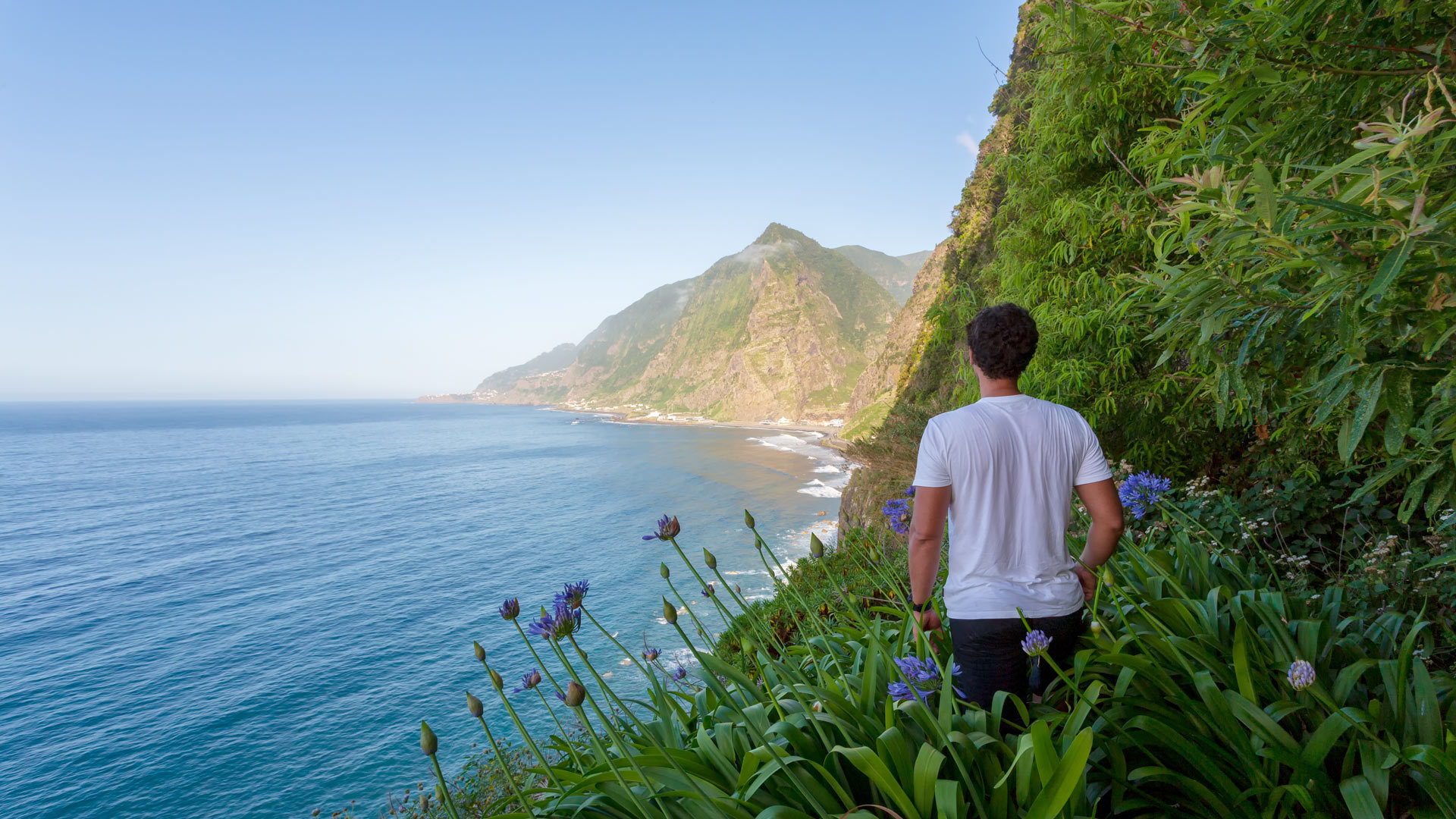 são vicente madeira 14